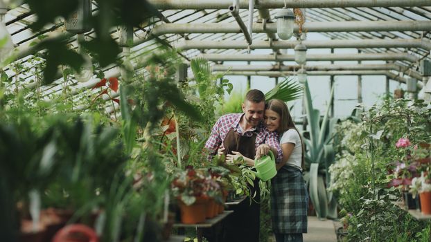 Ottawa Gardeners: These Heat-Loving Plants Thrive When Summer Turns Up the Heat