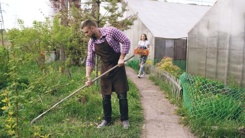 Free Man gardening and woman carrying harvest in a greenhouse garden setting. Stock Photo