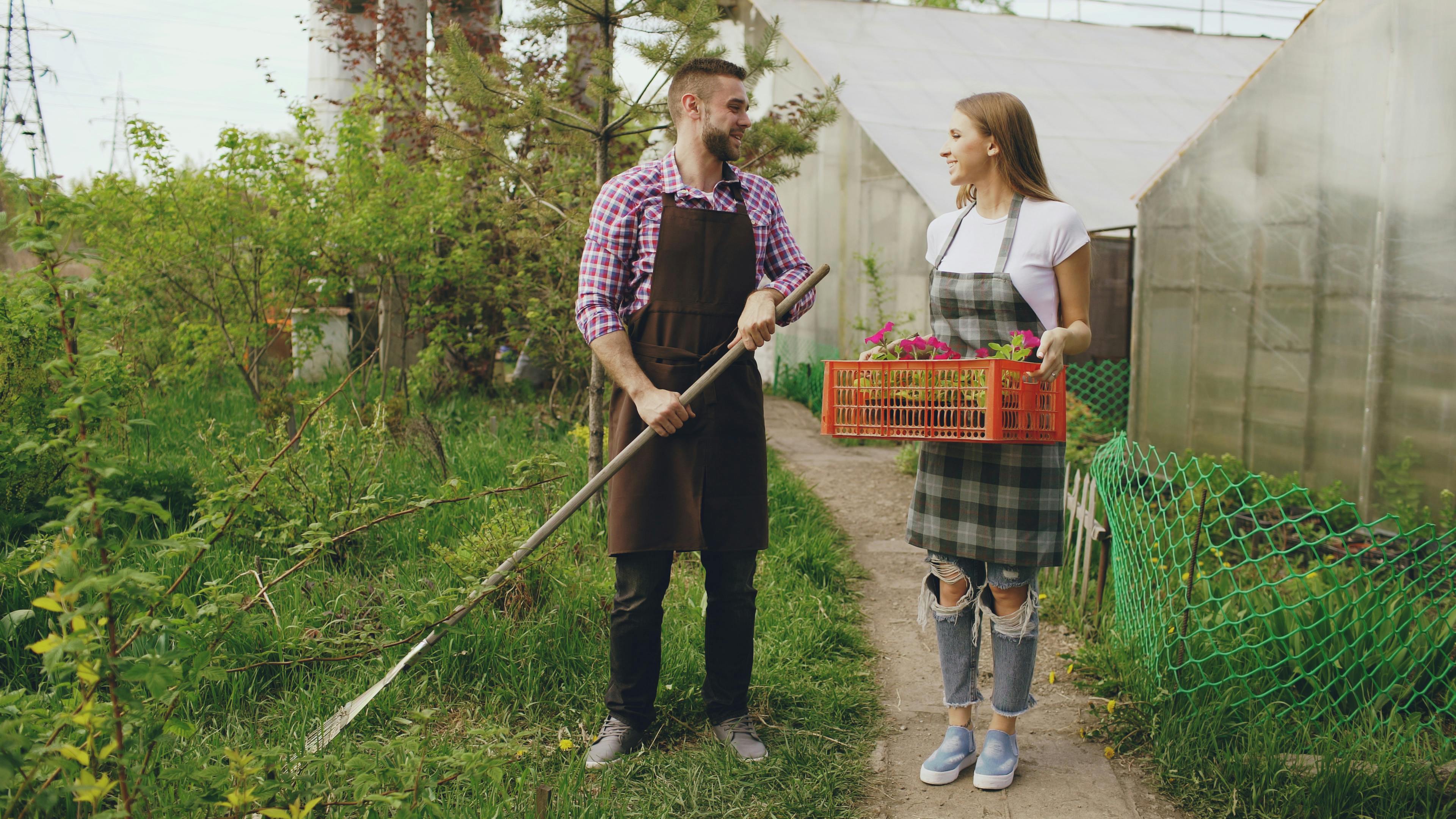 The 28 best gardening tools, according to expert gardeners — Photo by Vitaly Gariev on Pexels