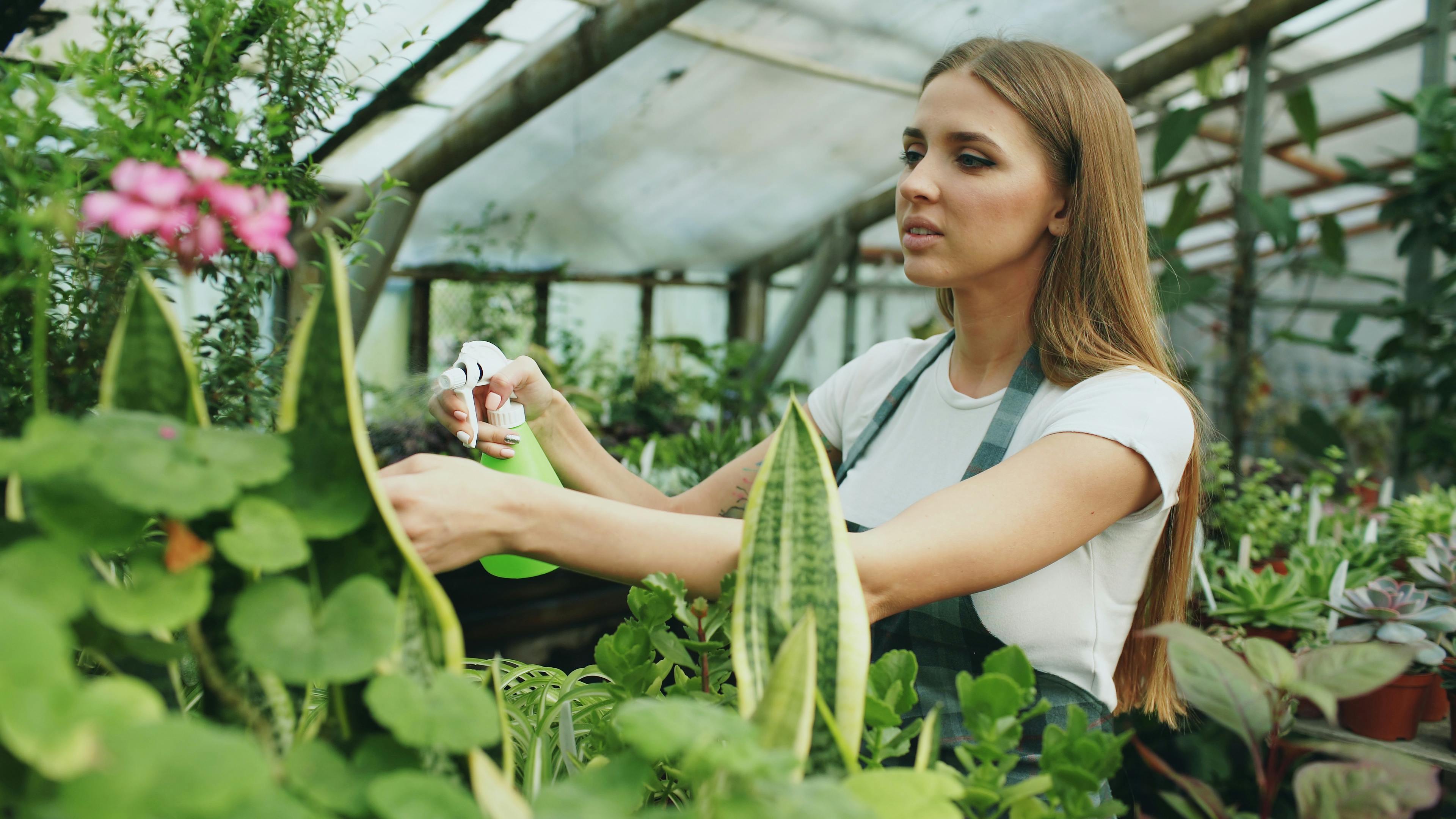 Smart summer gardening tips to get through Georgia’s heat — Photo by Vitaly Gariev on Pexels