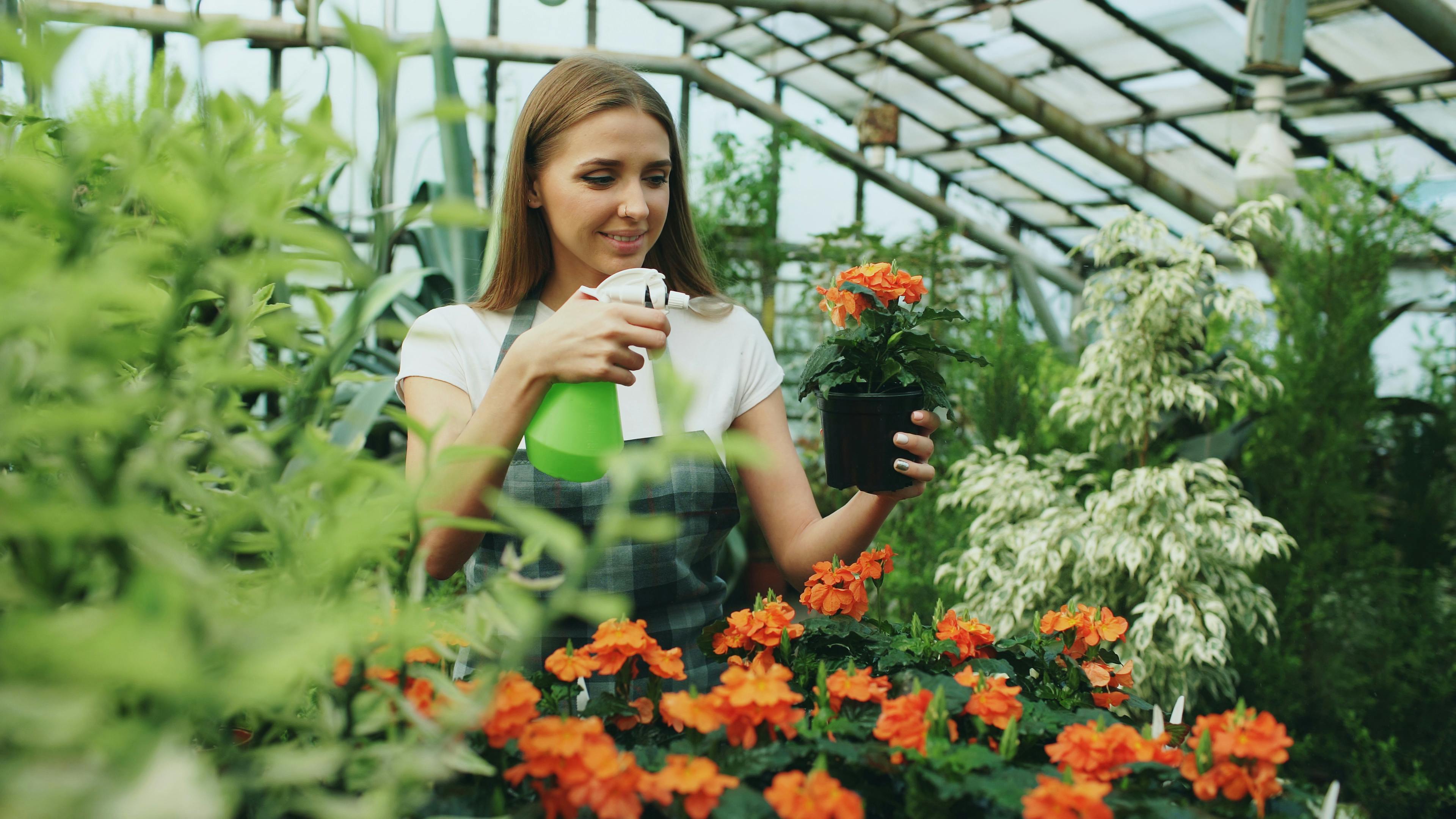 The best gardening tools, tested and expert-approved — Photo by Vitaly Gariev on Pexels