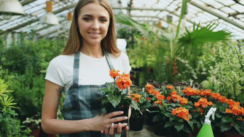circle|business person growing