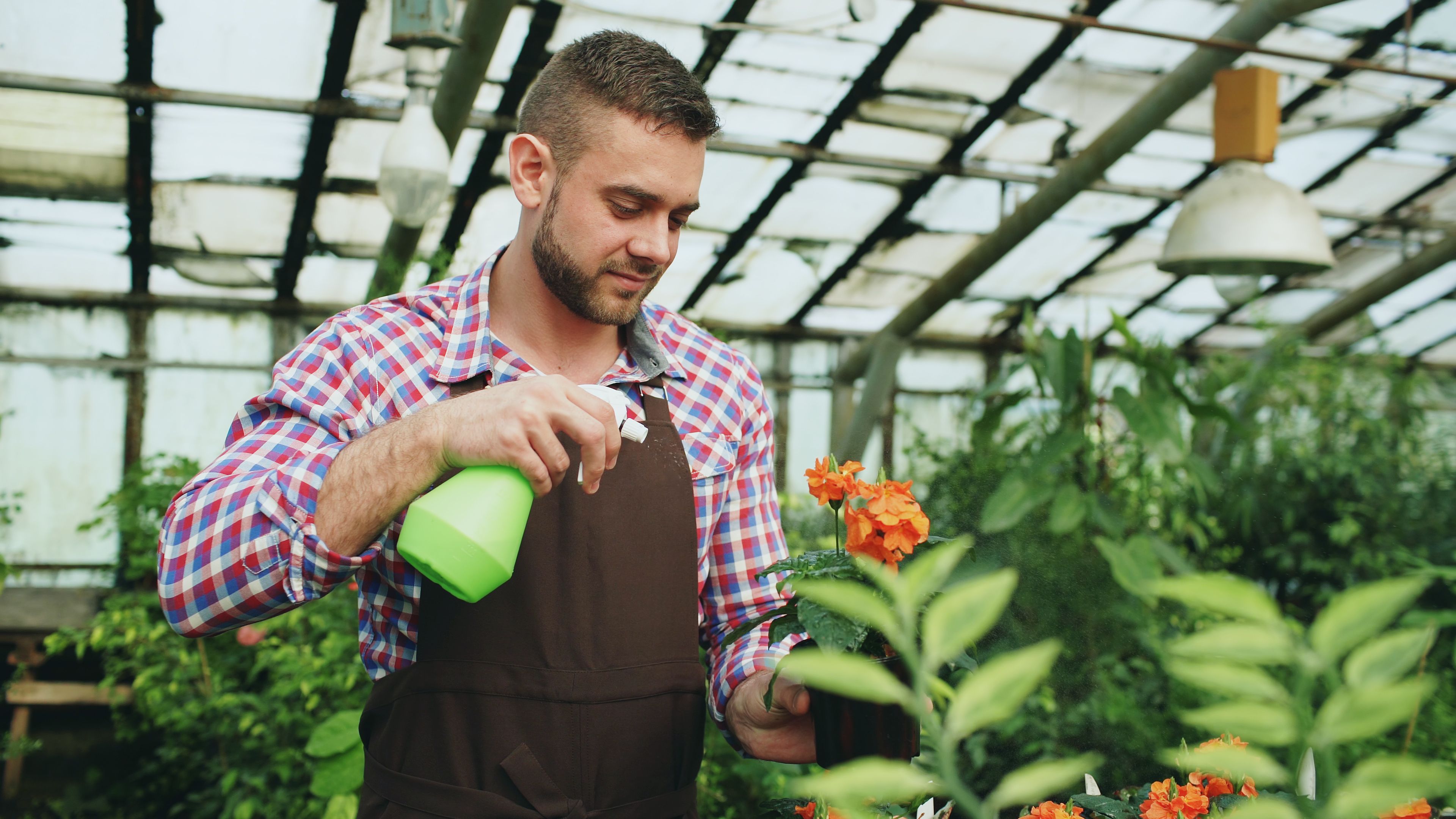 Professionelle Gartenarbeit