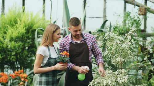 Free A man and woman tend to plants in a greenhouse, fostering growth and care. Stock Photo