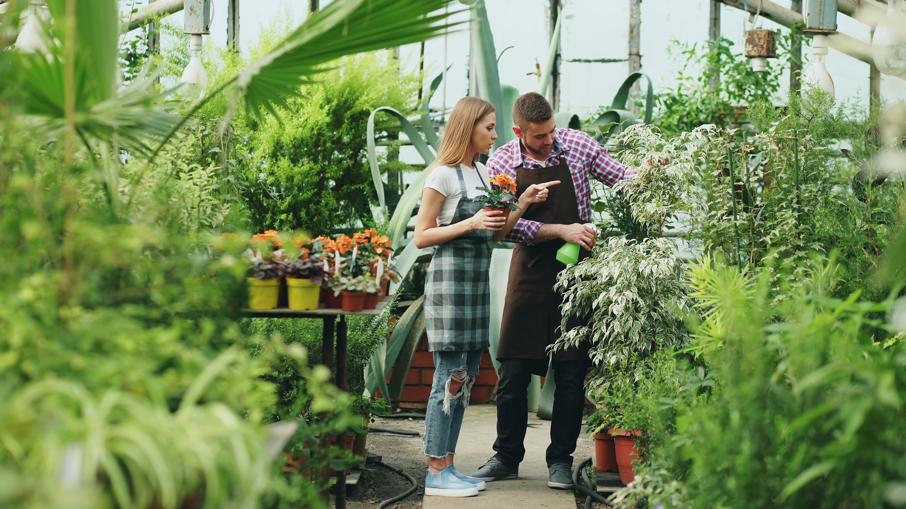 27 Best Gardening Tools for All Plant Parents, From Beginners to Experts — Photo by Vitaly Gariev on Pexels