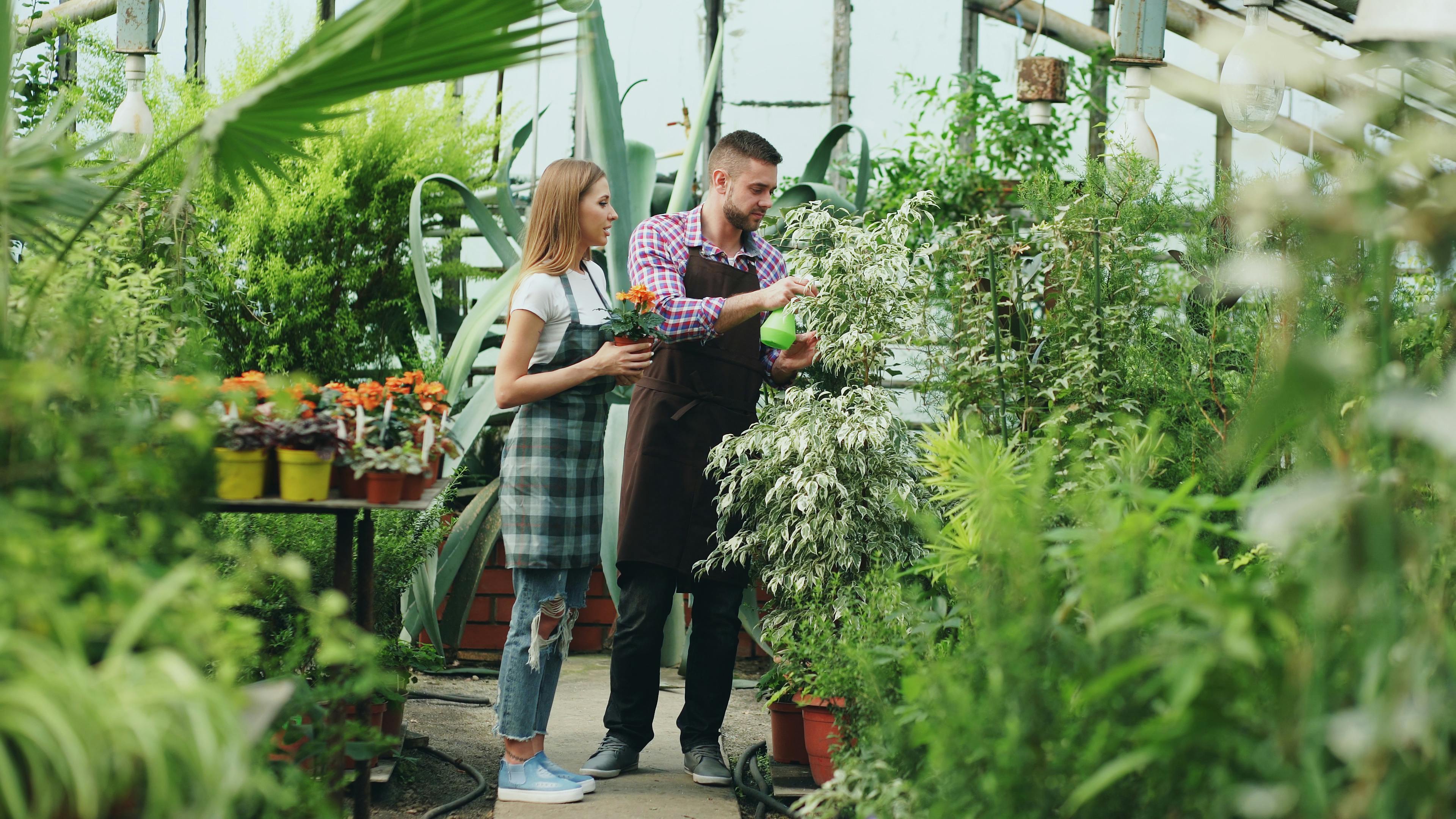 Life Science, Space Gardening Top Thursday’s Research Schedule — Photo by Vitaly Gariev on Pexels
