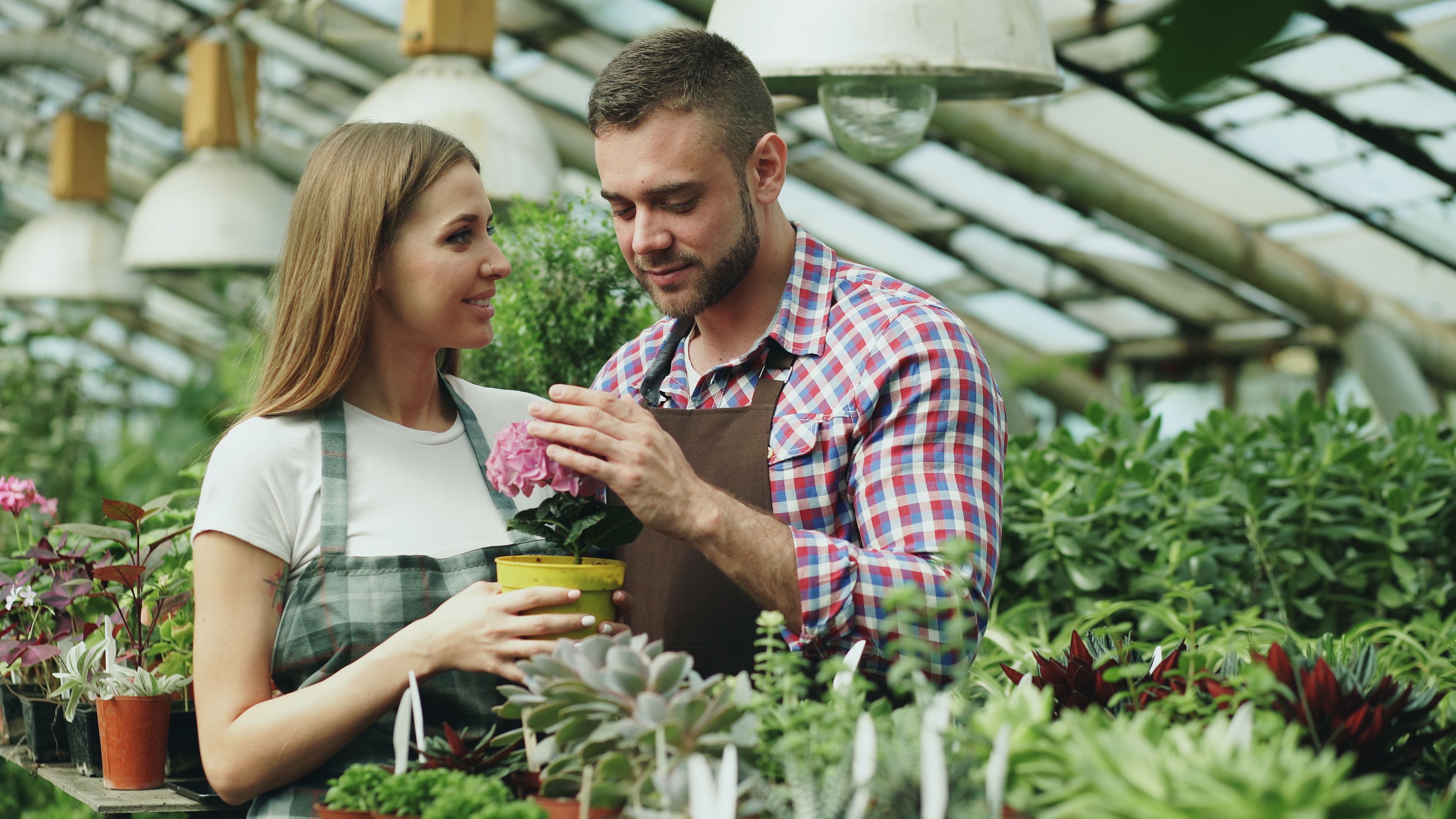 Be Willing to Grow — Together and Individually