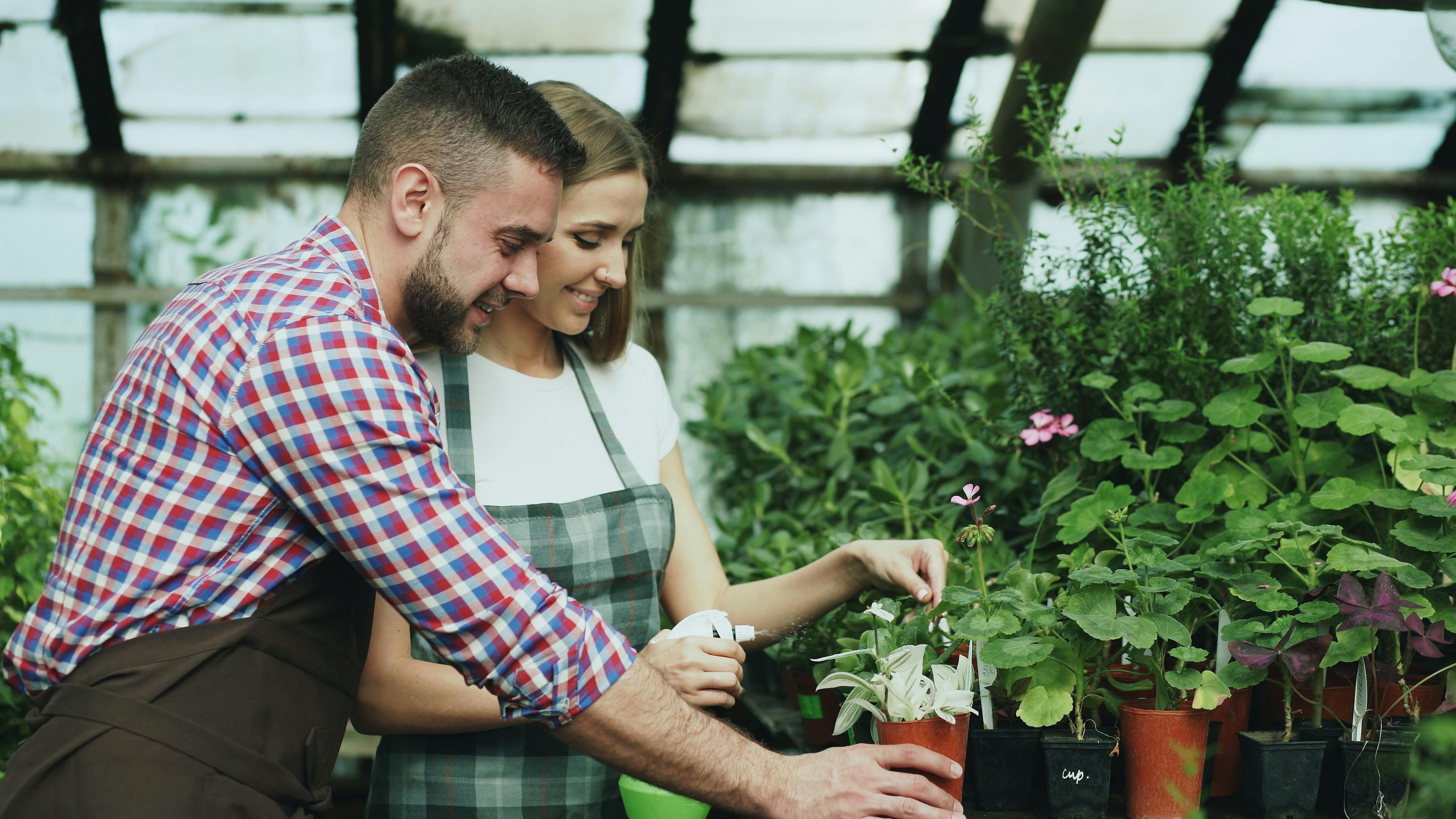 This weekend is the 'Black Friday' of gardening season in Omaha - Omaha World — Photo by Vitaly Gariev on Pexels