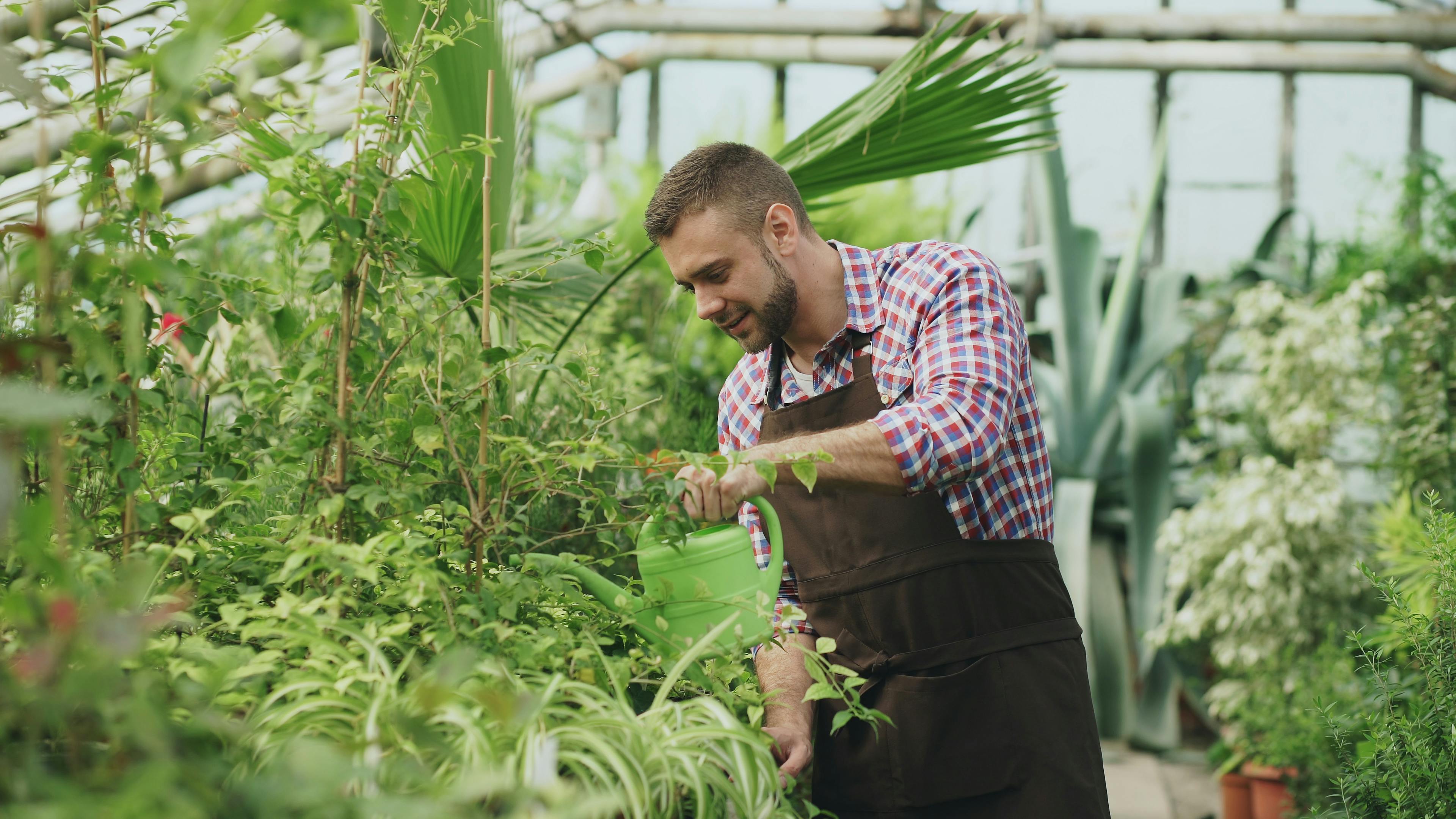 Tottenham chief 'placed on gardening leave' as summer shake-up continues — Photo by Vitaly Gariev on Pexels