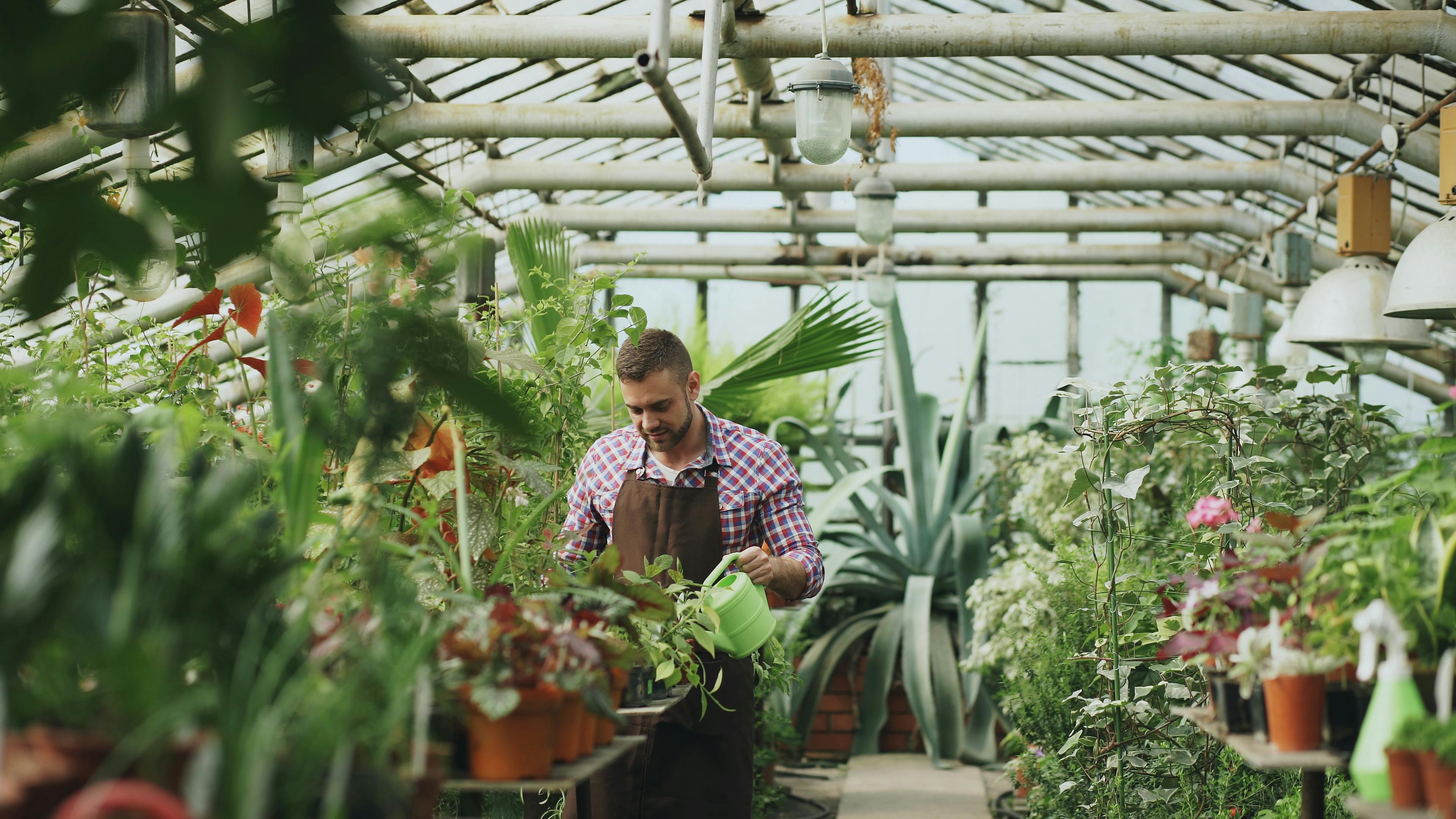 Tottenham chief 'placed on gardening leave' as summer shake-up continues — Photo by Vitaly Gariev on Pexels