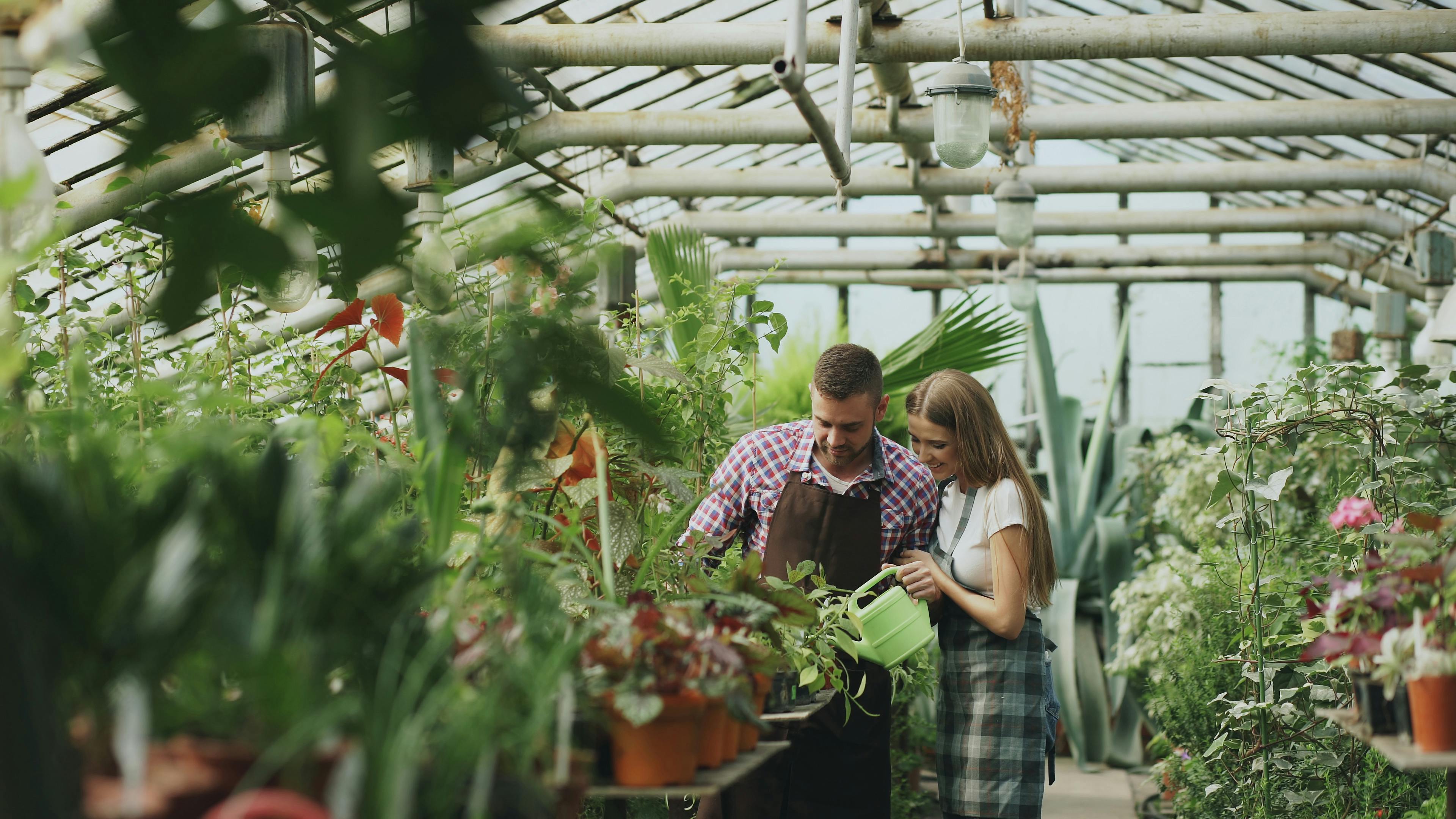 Netflix's 'This Is a Gardening Show' Is the Ideal Comfort Show — Photo by Vitaly Gariev on Pexels