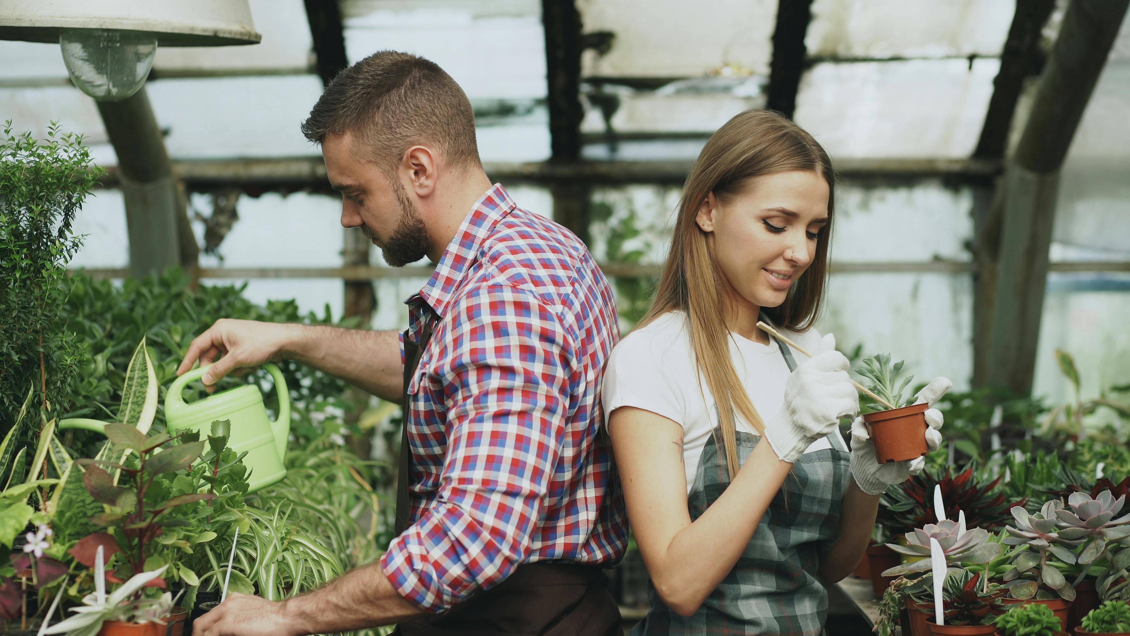 gardening leave meaning — Photo by Vitaly Gariev on Pexels