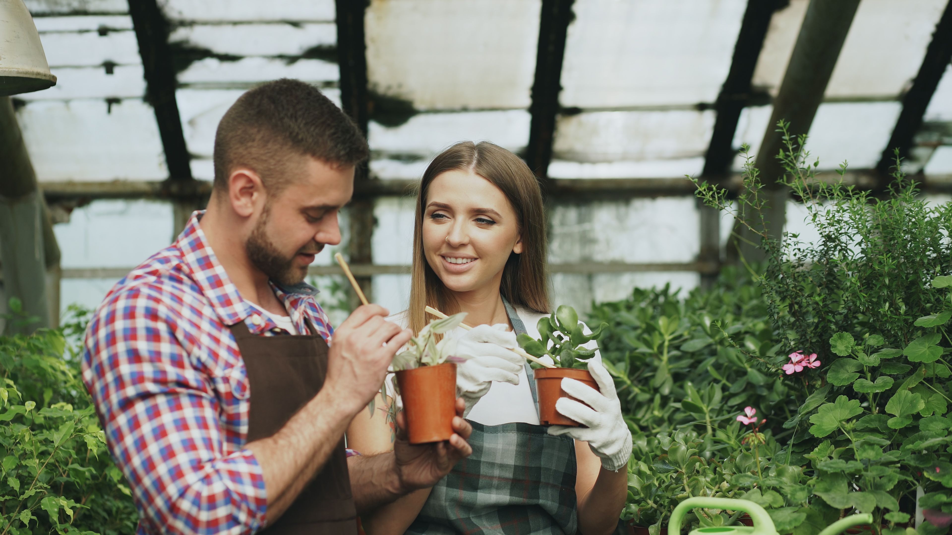 Two young adults are tending to plants inside a vibrant and lush greenhouse.
