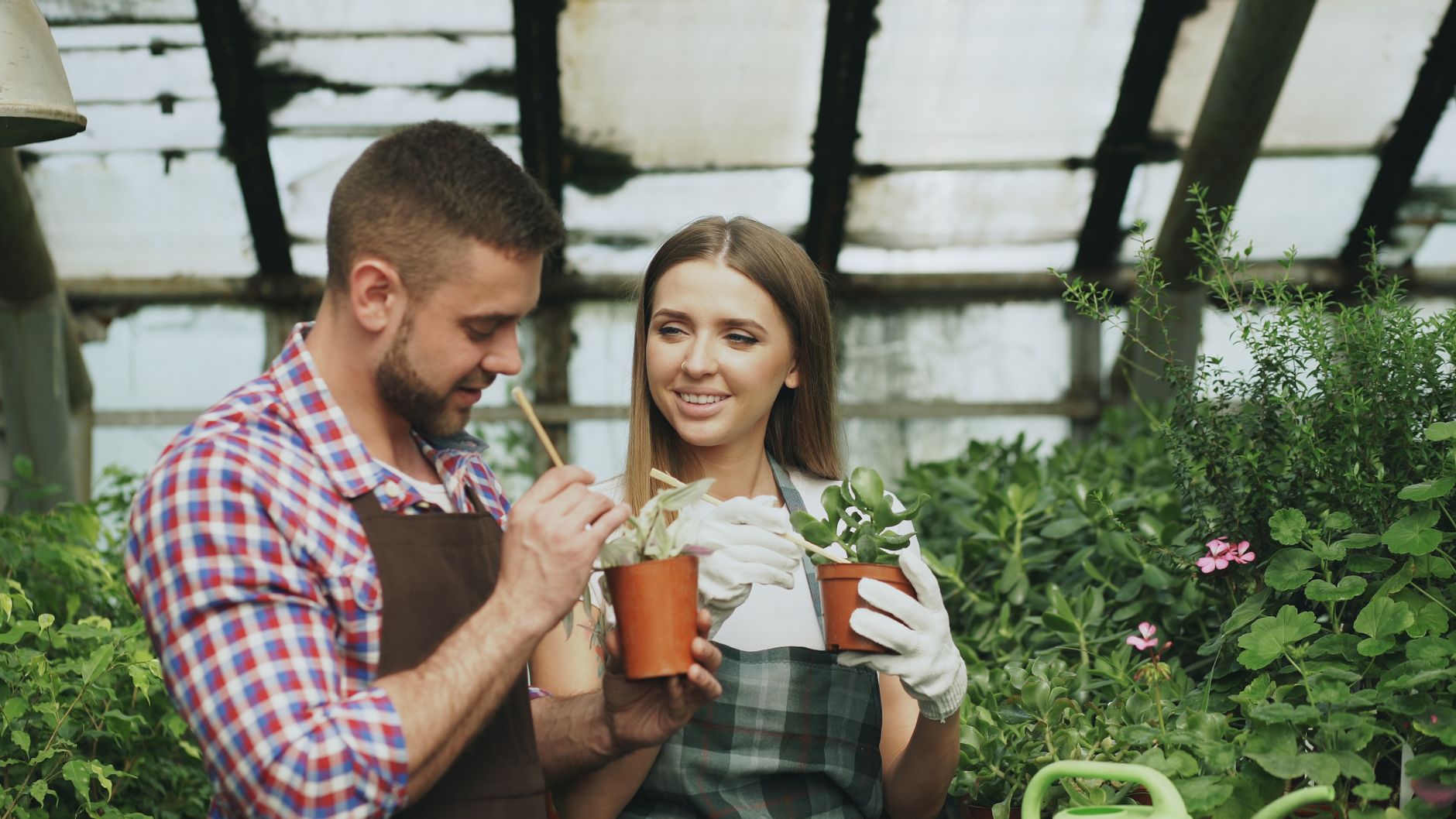 How to Grow Your