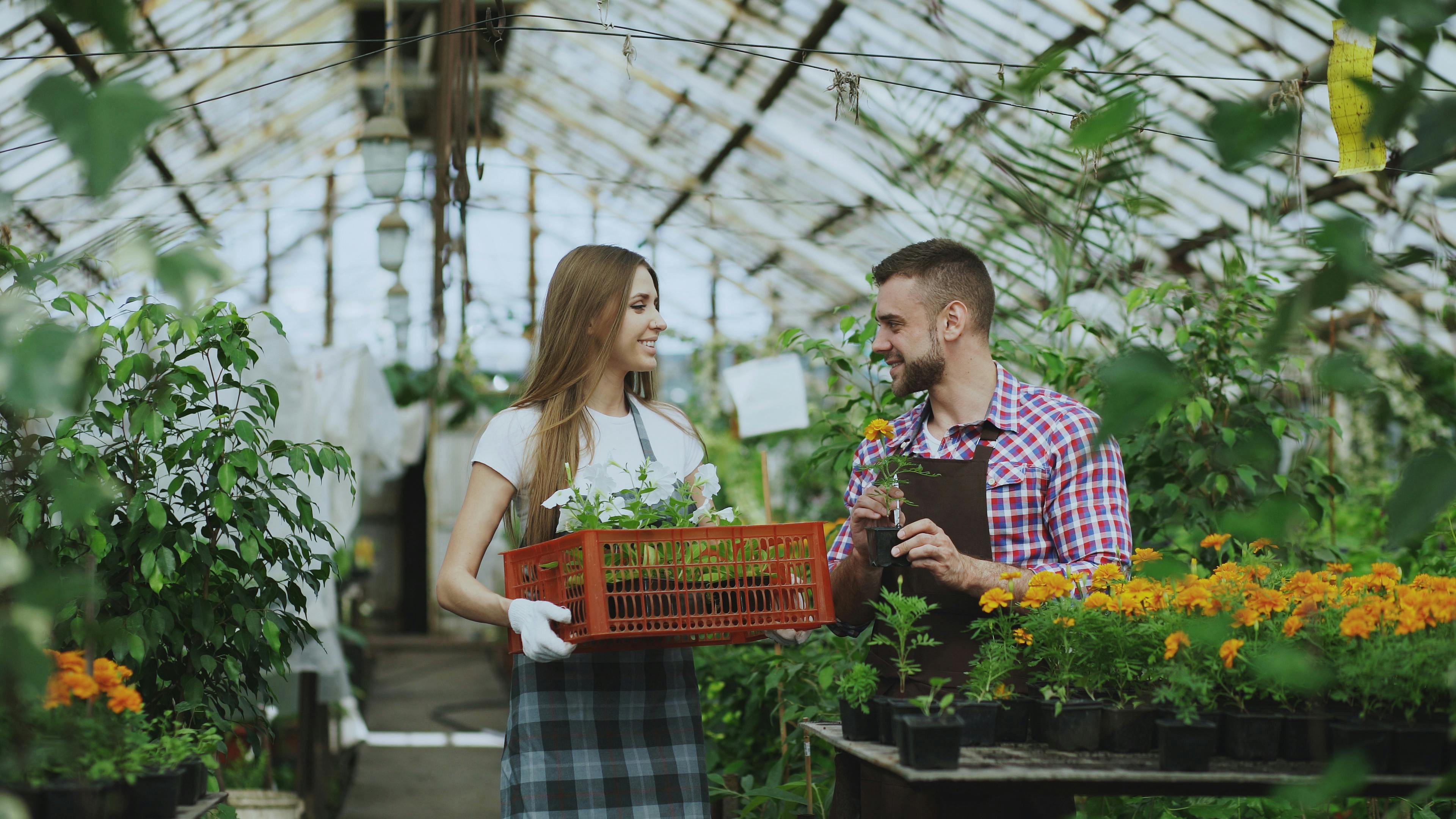 11 Best Amazon Gardening Tools You Can Snag For Under $20 — Photo by Vitaly Gariev on Pexels