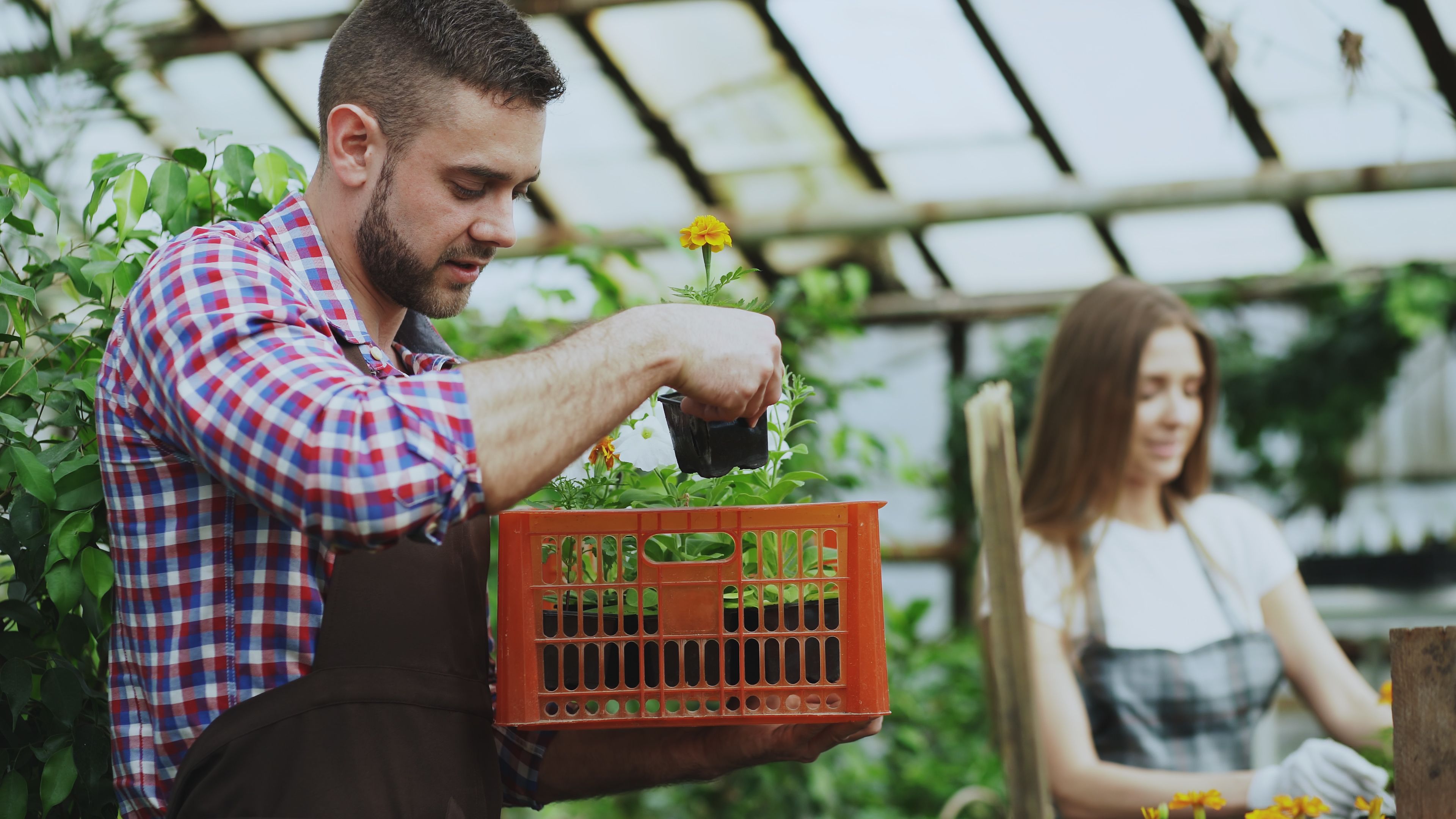 How financial independence can grow the care economy — Photo by Vitaly Gariev on Pexels