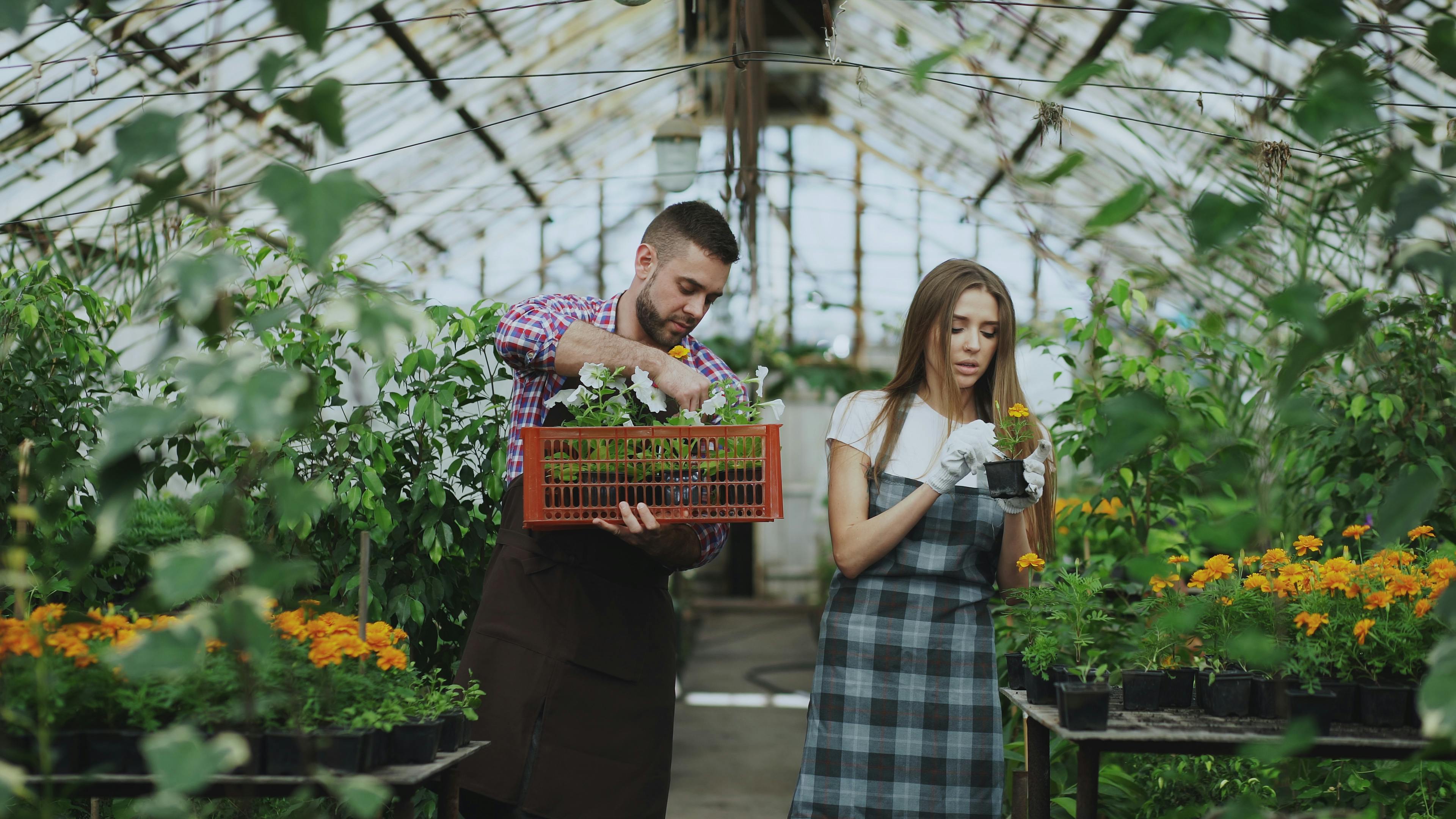 5 gardening tips you can try right in Search — Photo by Vitaly Gariev on Pexels