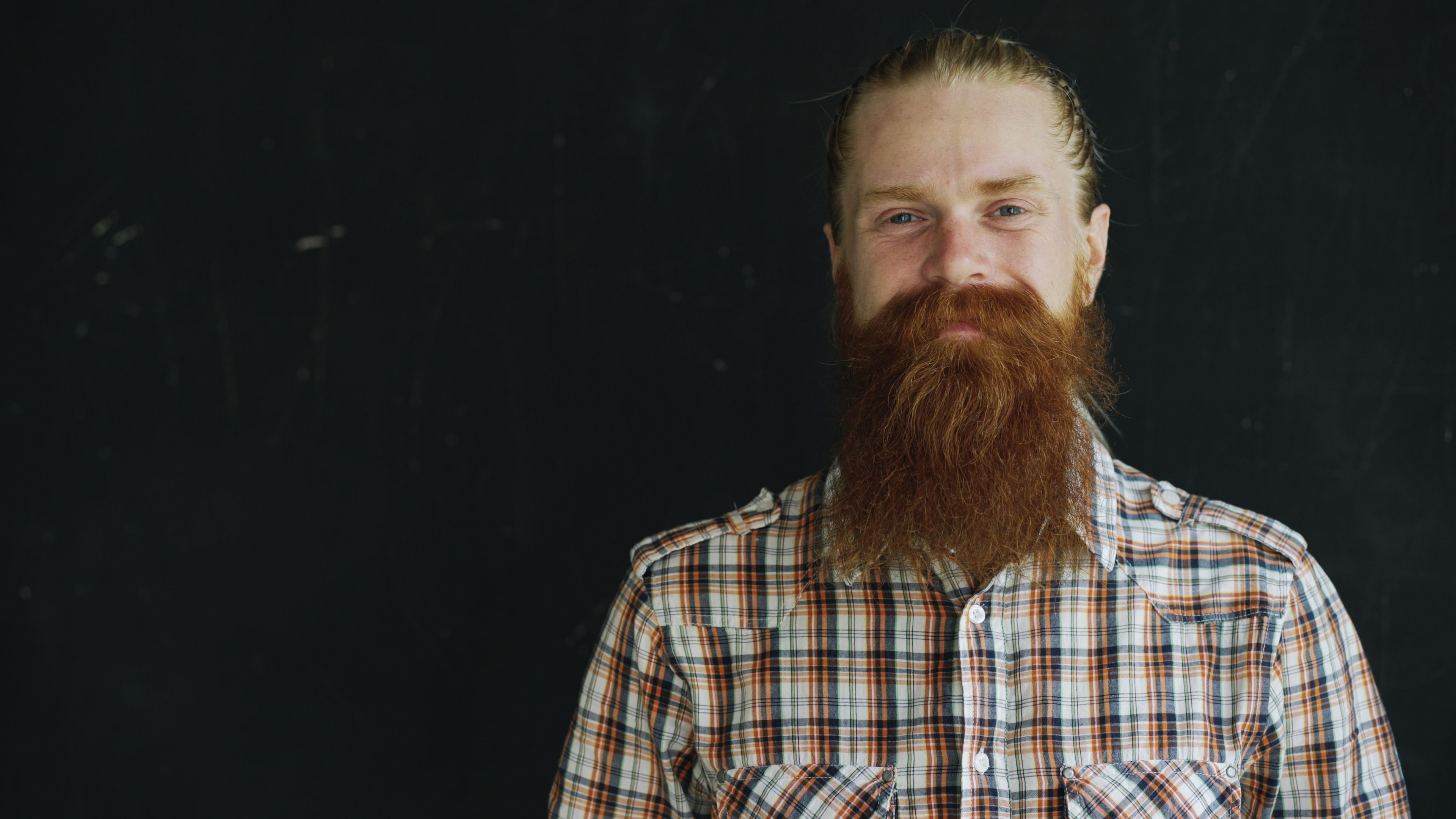 man full beard portrait