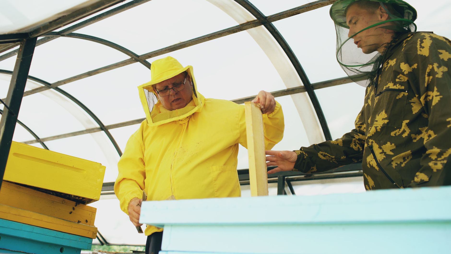 Two beekeepers in protective suits examining hives inside a greenhouse.