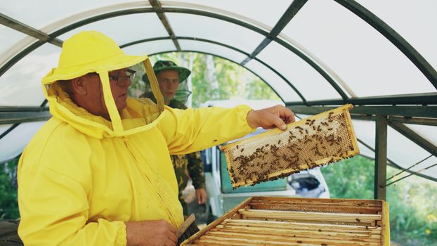 A beekeeper examines a honeycomb, surrounded by bees, in a protective tent.