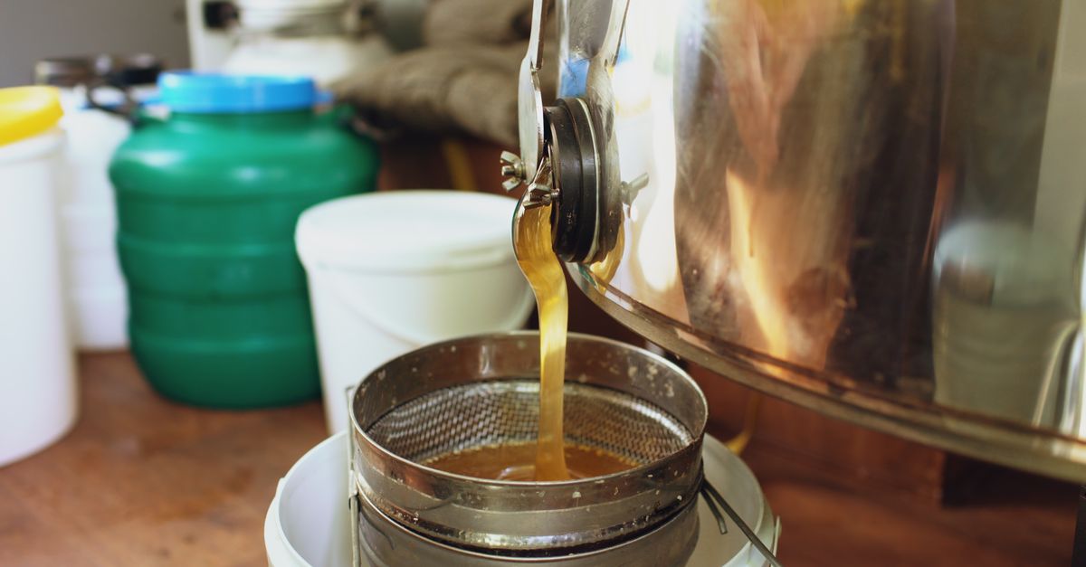 Honey flowing from a large stainless steel extractor into a filter in a beekeeping setup.