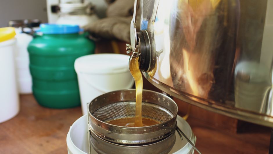 Honey flowing from a stainless steel honey extractor into a filter