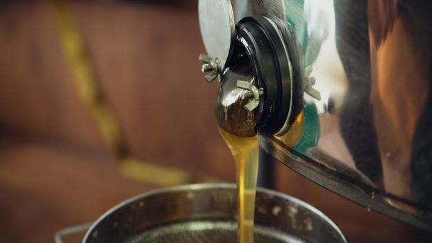 Honey pouring from an extractor spout