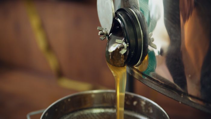 Honey (Browser Extension)