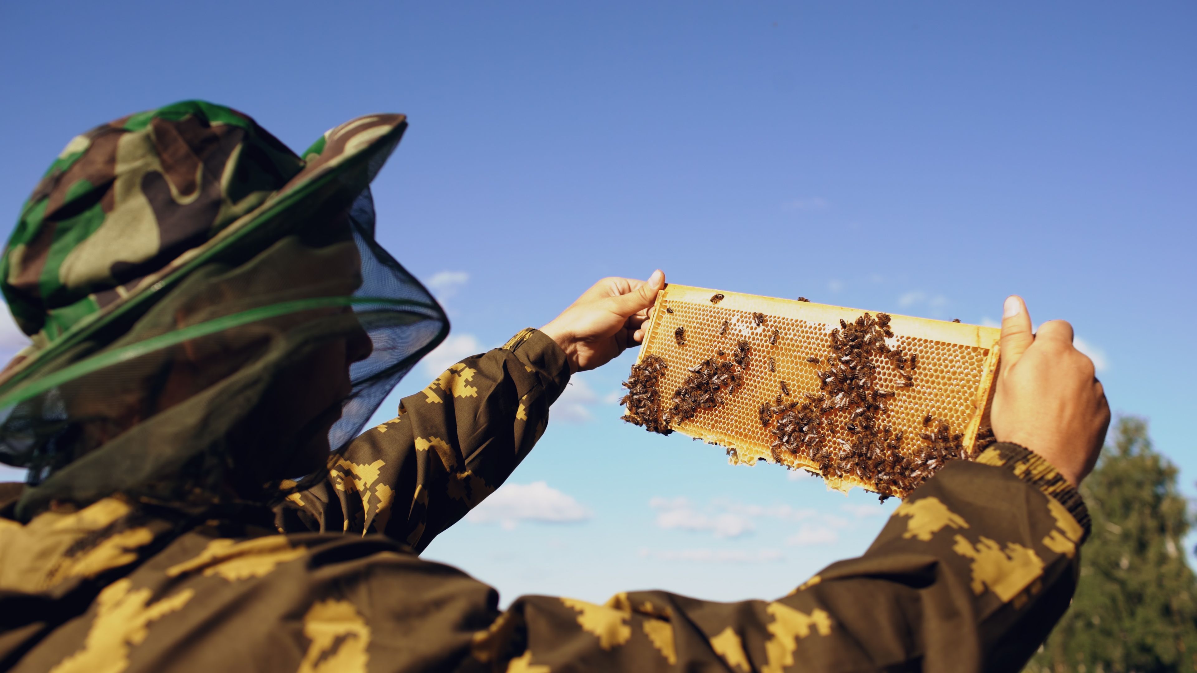 Green Beekeeping