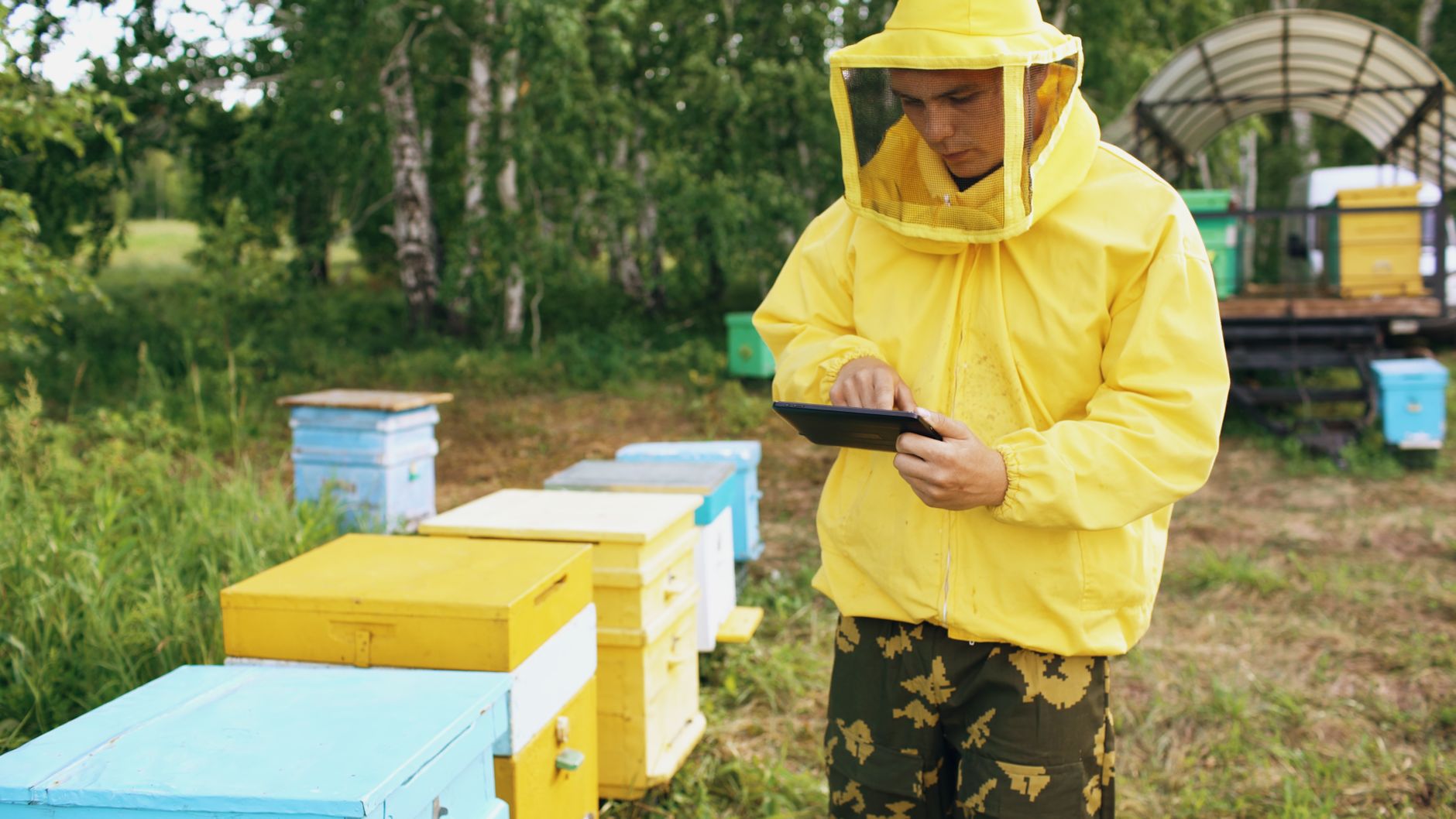 how to start a beekeeping business — hero image