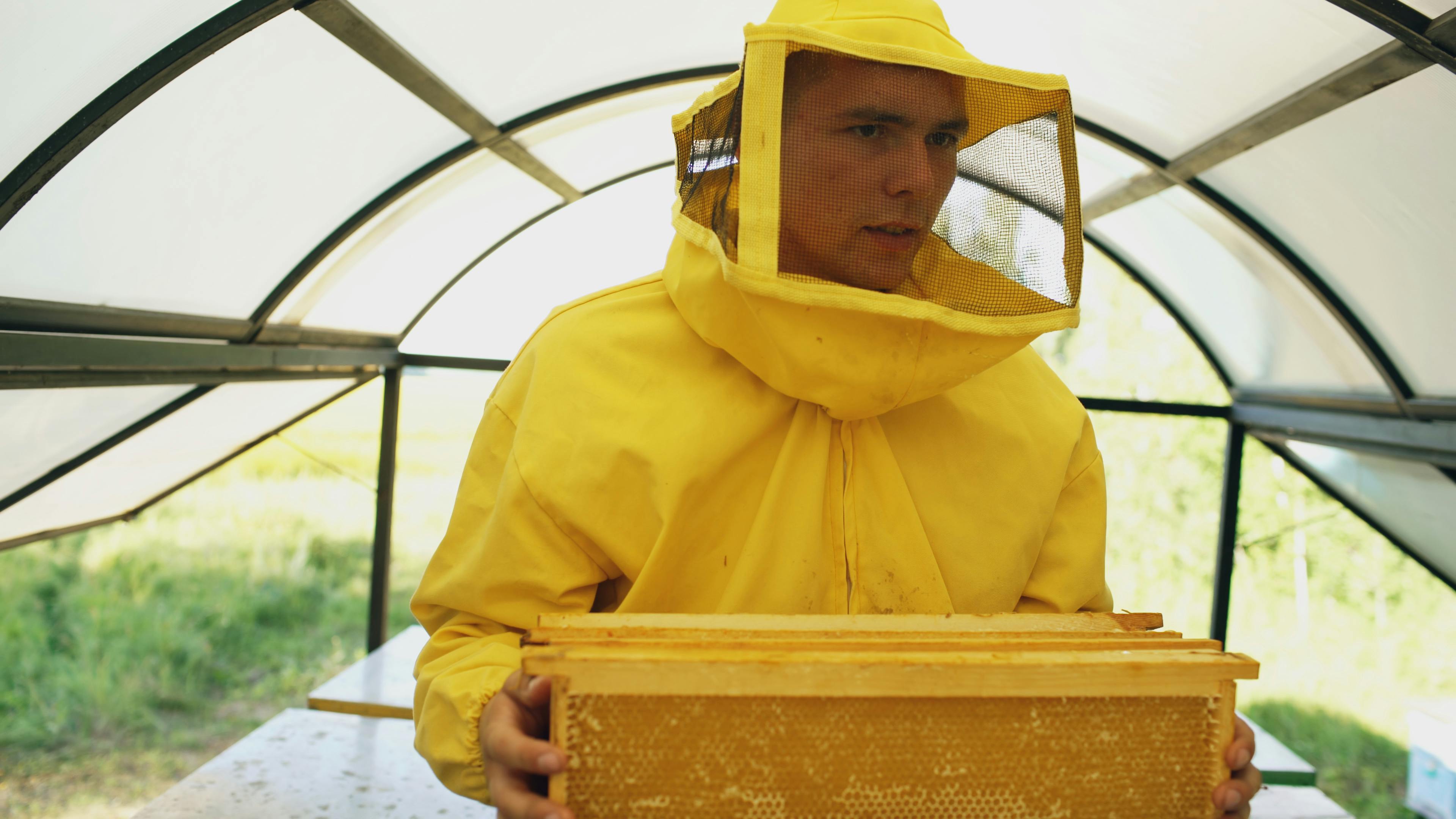 Bee Keeping