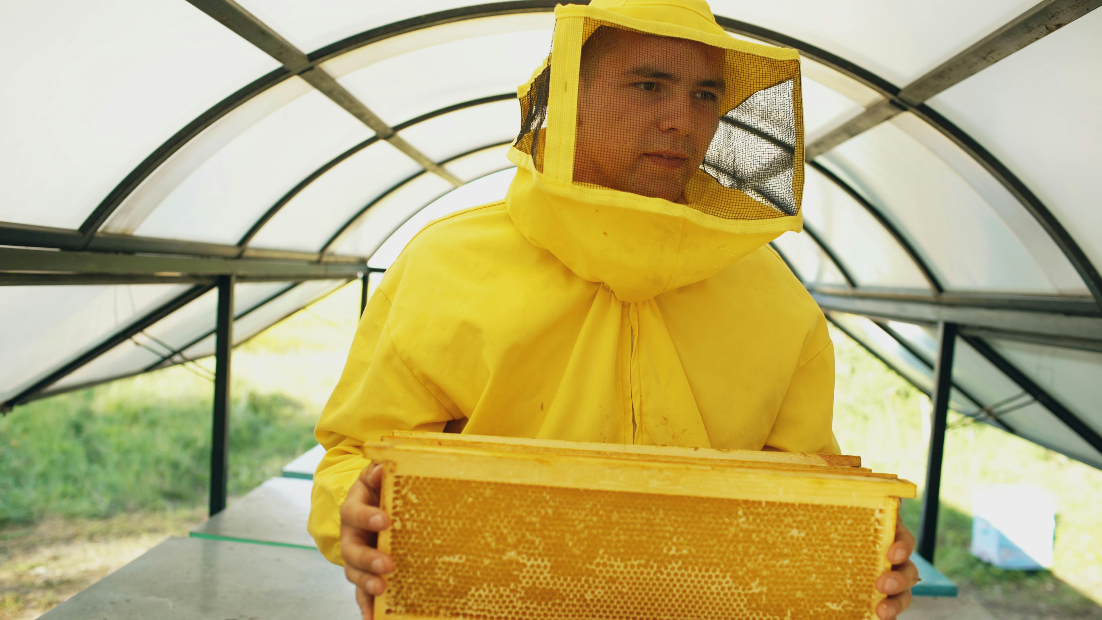 Ark Valley Civics Bee Competition to Send Three Local Students to State — Photo by Vitaly Gariev on Pexels