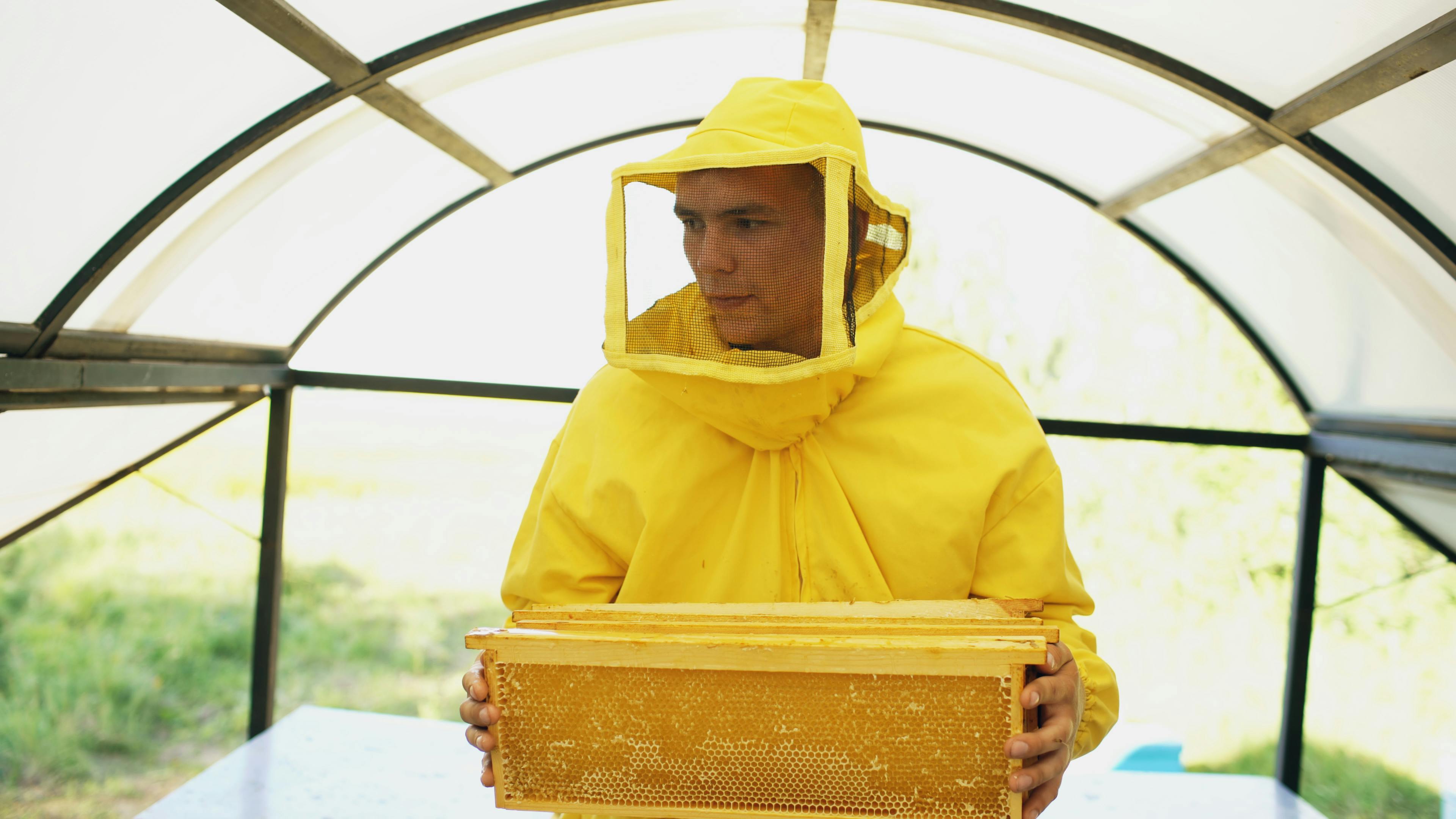 Beekeeping Services Image