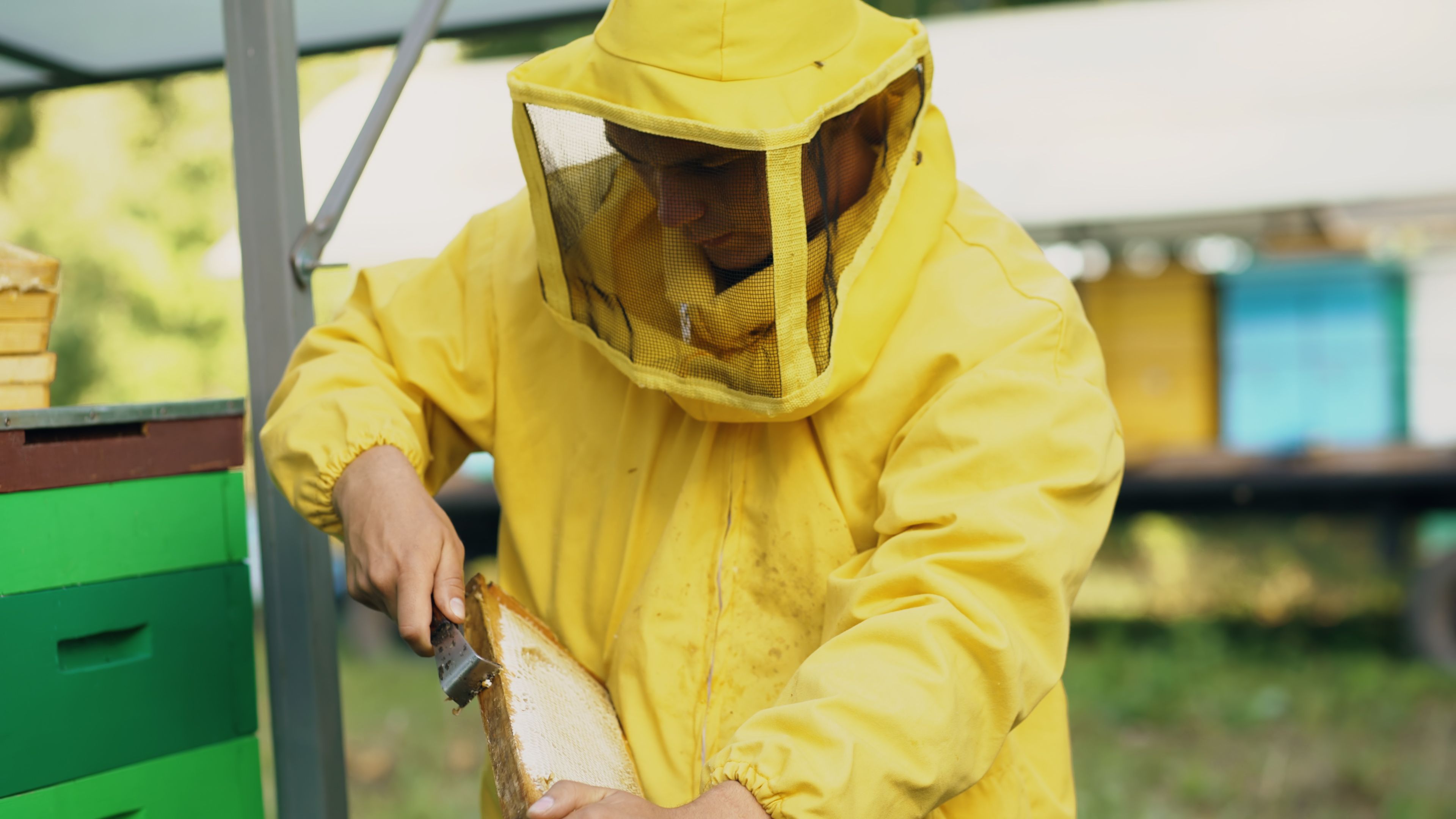 Bienenstockwartung