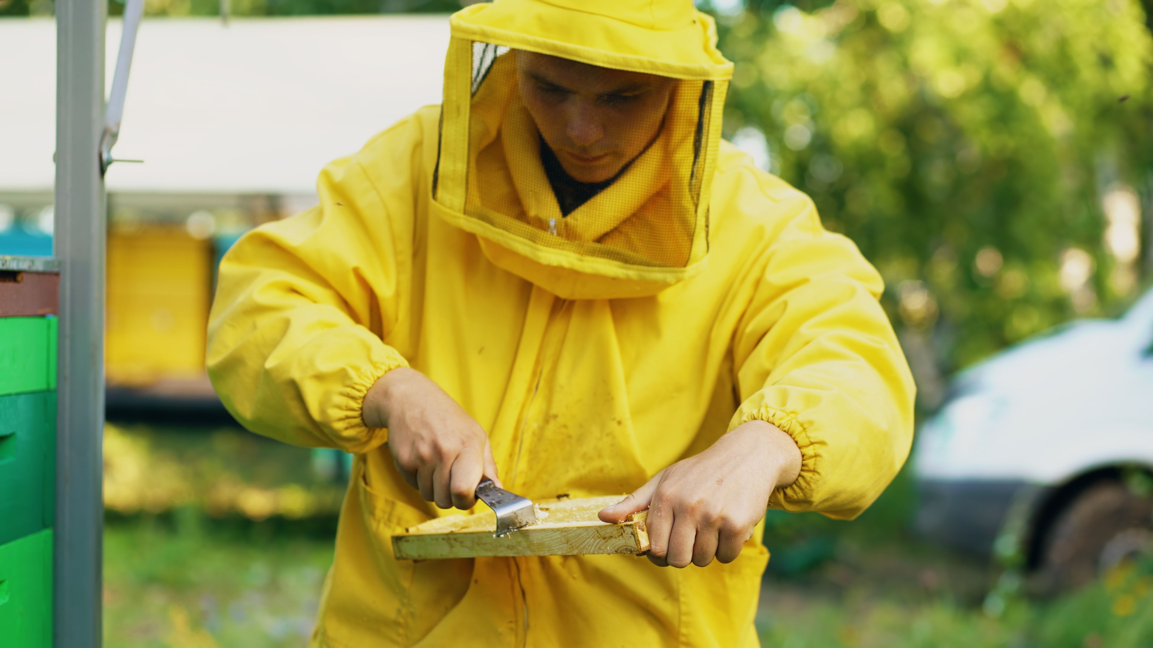 Residential Pest Control