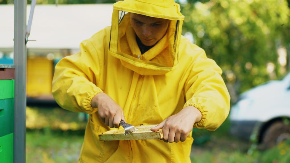 Rodent exclusion sealing