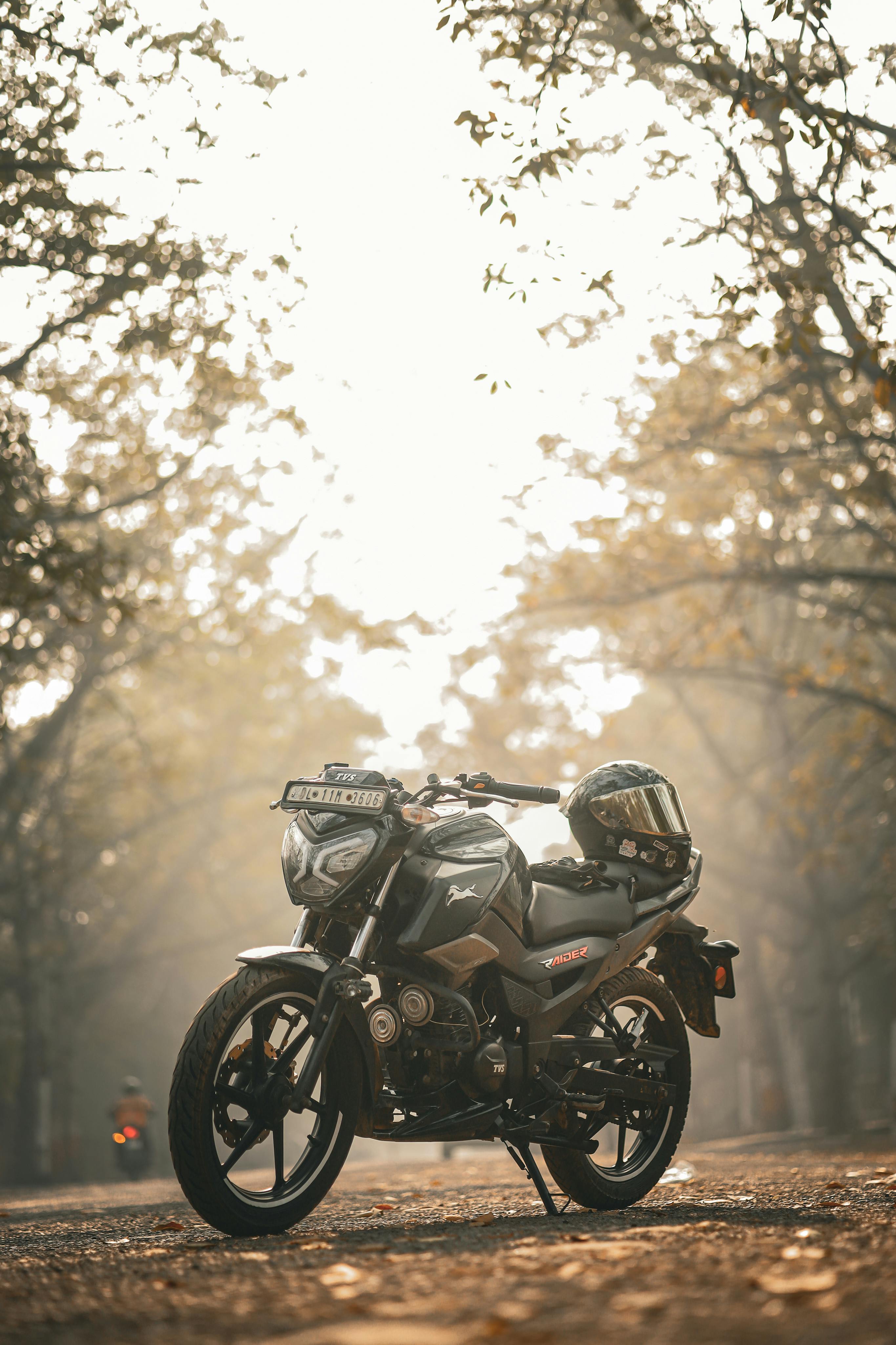 A motorcycle parked under a lush tree canopy with sunlight filtering through, creating a serene atmosphere.