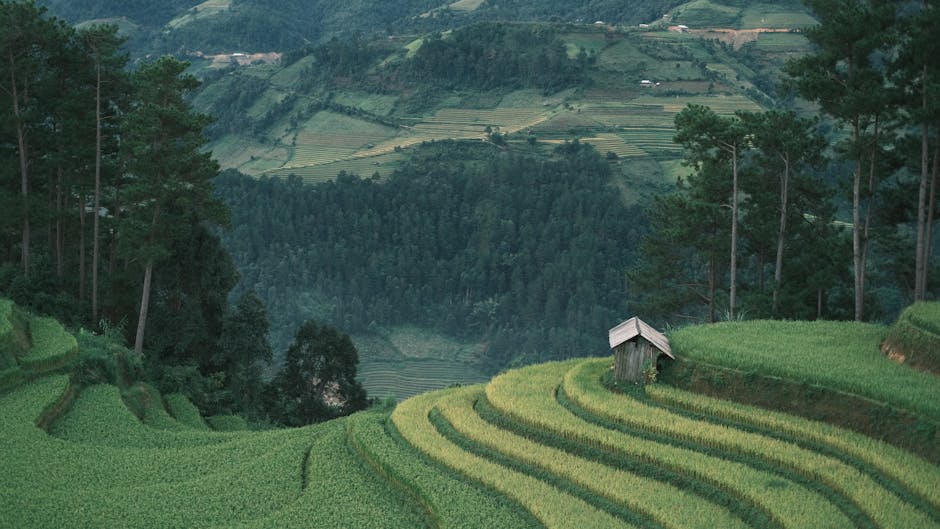 Thakhek, Laos - travel photo