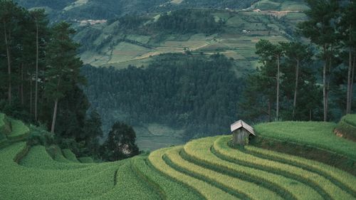 Free Scenic view of lush green terraced rice fields in a mountainous rural landscape during daytime. Stock Photo