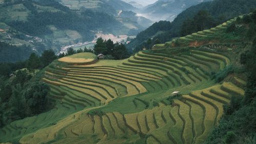 Free Breathtaking terraced rice fields terrace nestled in lush valleys under a misty sky. Stock Photo