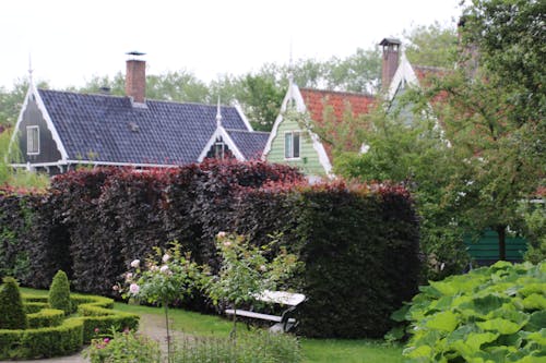 Imagine de stoc gratuită din acoperișuri, case, grădină