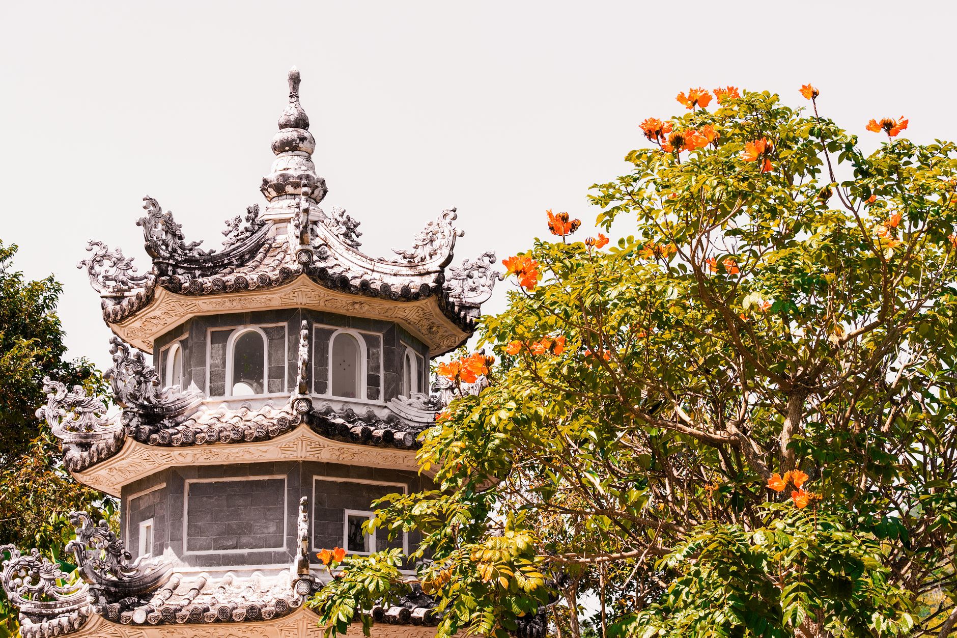 A traditional Asian pagoda next to a tree with vibrant orange blossoms under a clear sky.
