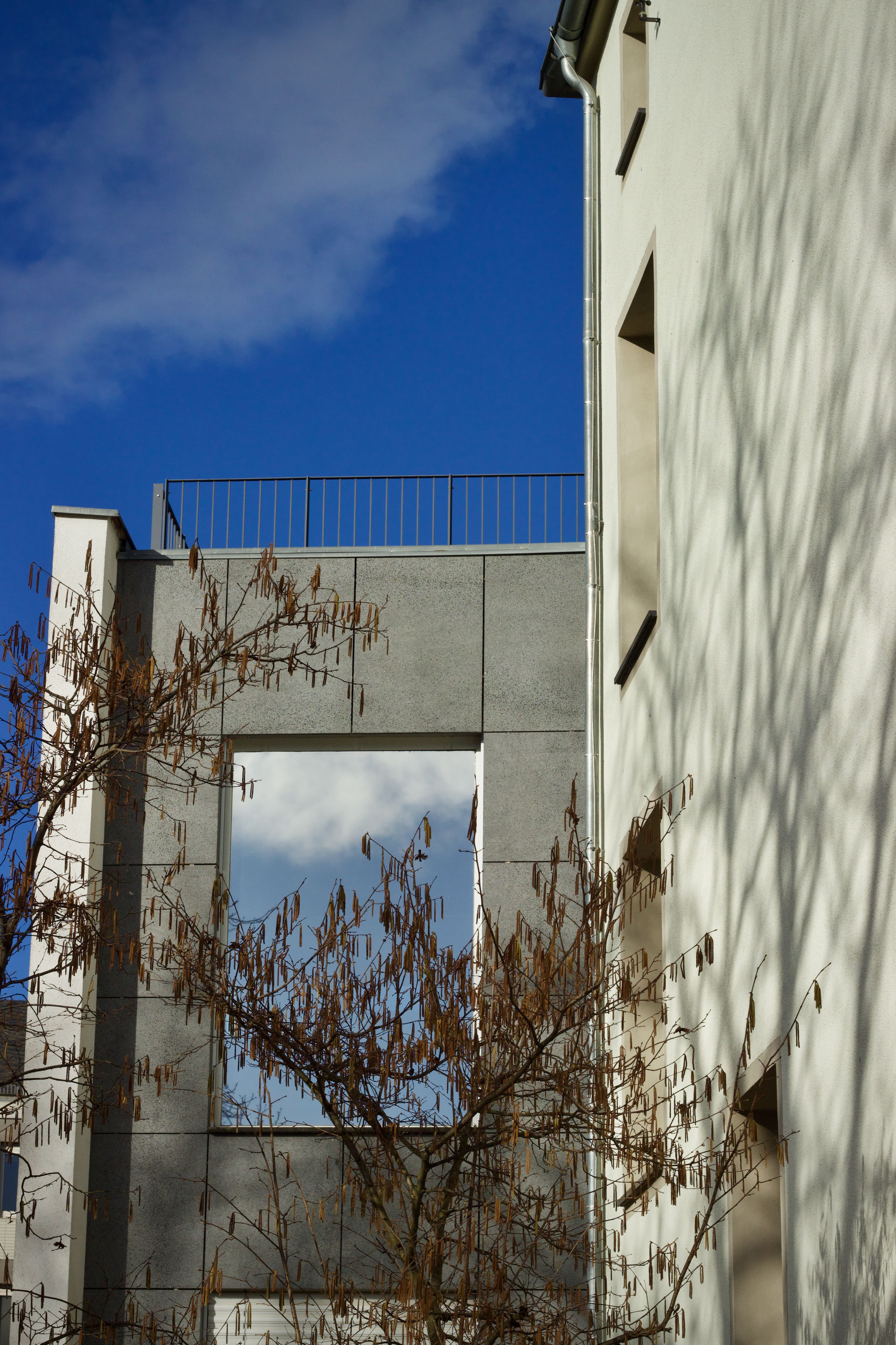 Modern Architectural Design with Tree Shadows · Free Stock Photo