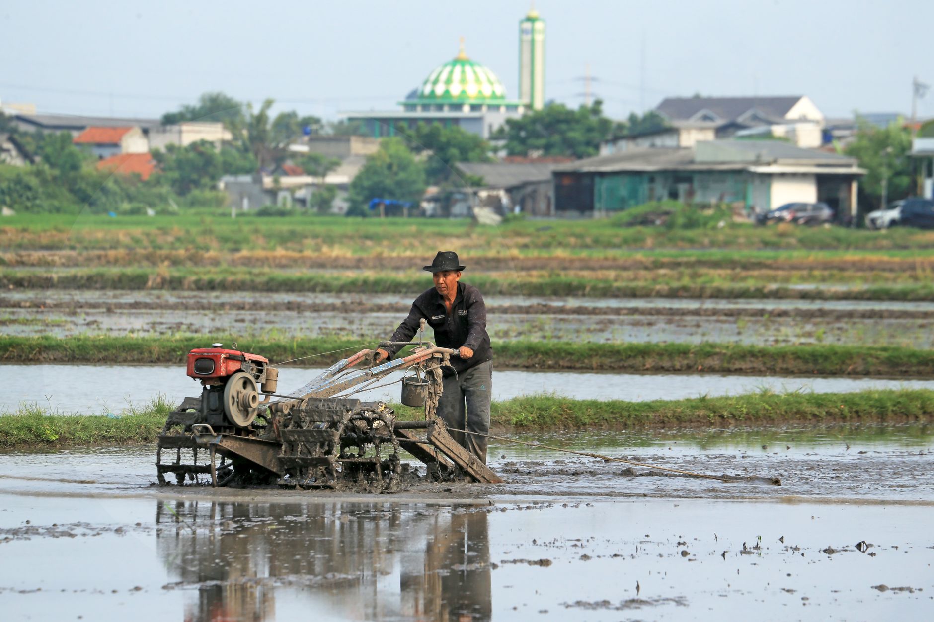 Rural farmer using a tractor to plow a rice field with a mosque visible in the background.