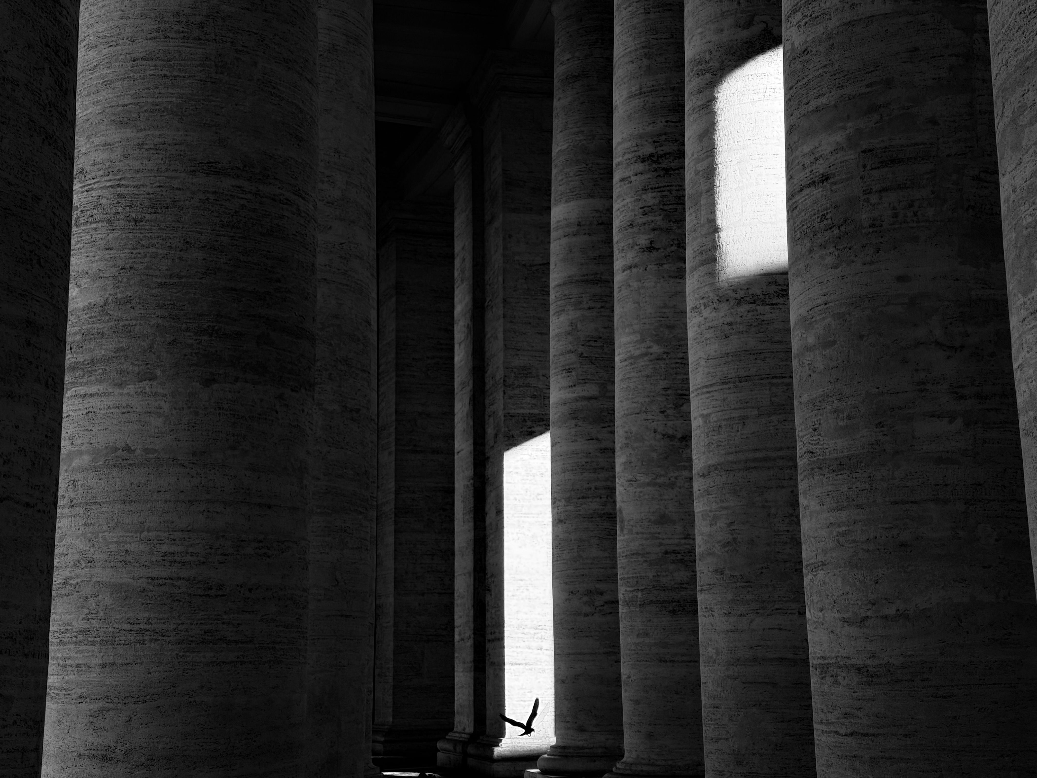 Dramatic Black and White Architecture Columns · Free Stock Photo