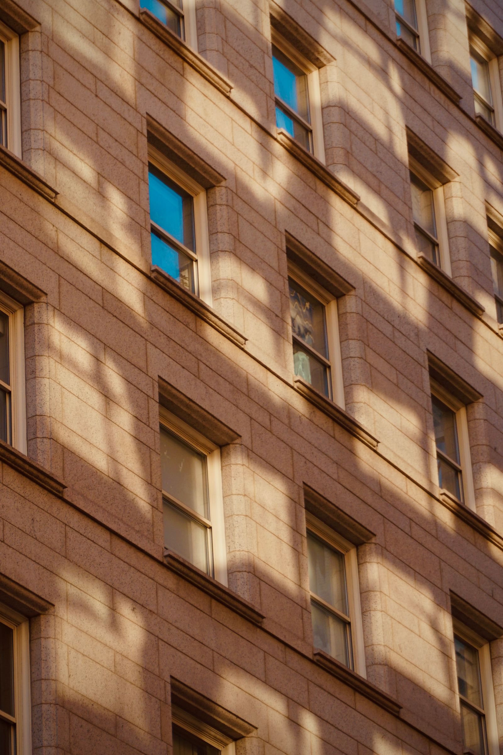 Repeated architectural windows and shadows representing operational knowledge transferred between qualified teams.