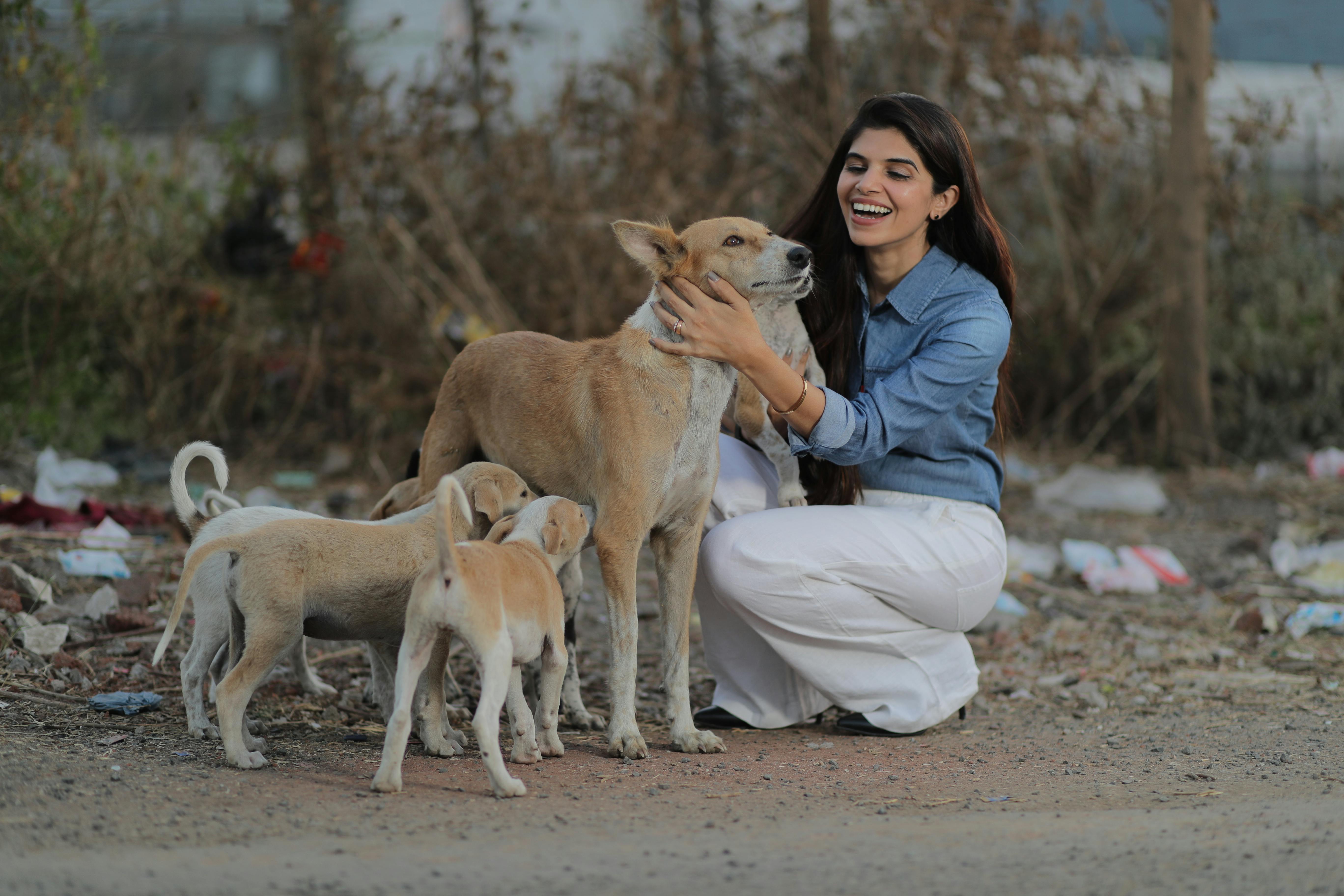 pet lifestyle bhopal — Photo by Chintan C Mehta on Pexels
