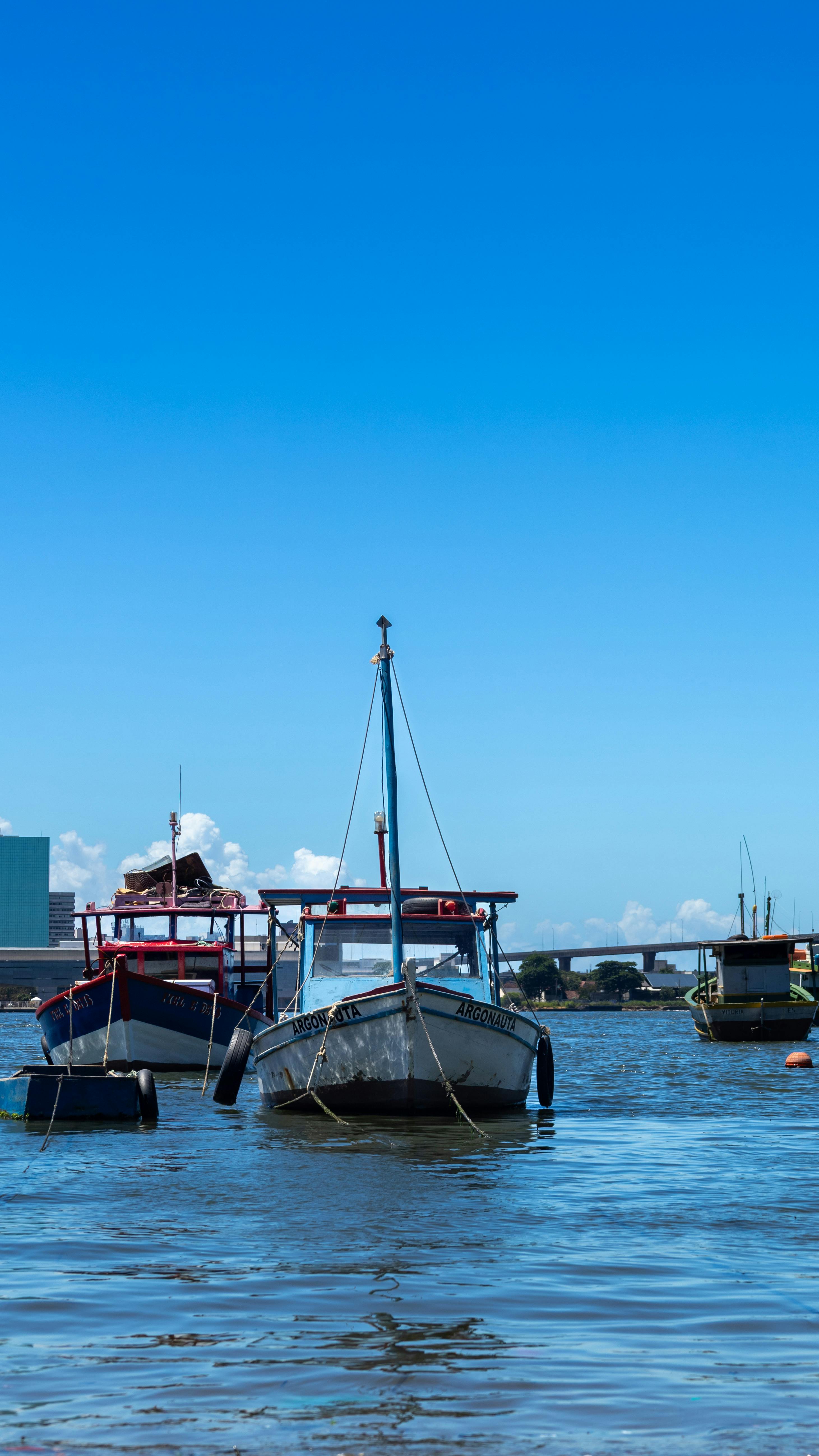 A serene view of colorful boats docked on a sunny day in Brazil, ideal for travel and lifestyle imagery.