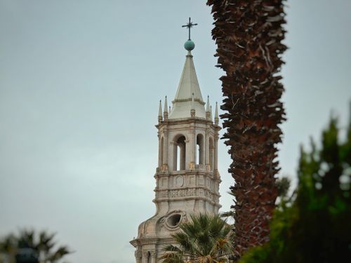 Free A beautiful view of a historic church bell tower framed by palm trees, against a cloudy sky. Stock Photo