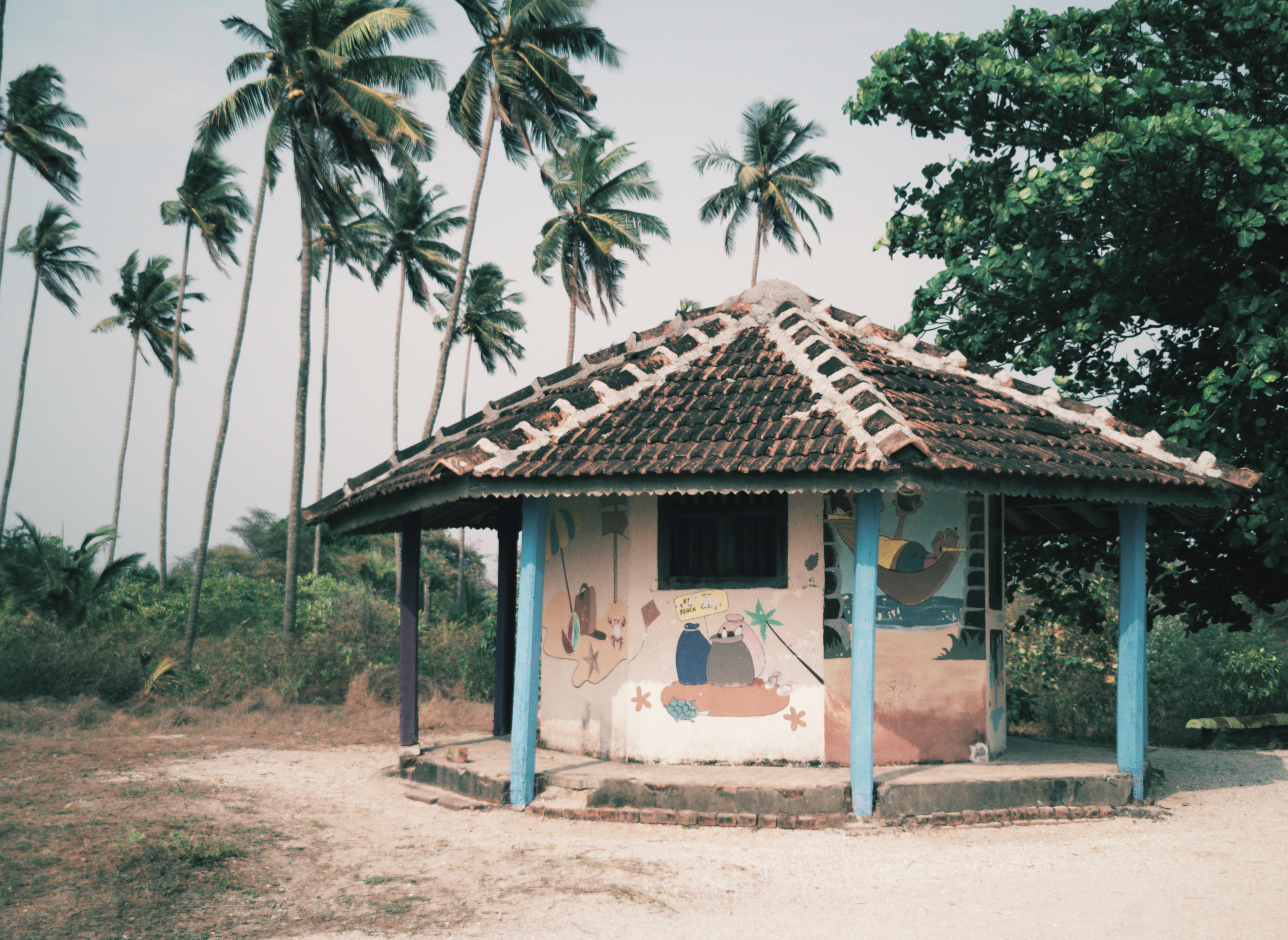 Mytravista | Professional Travel Agency in Goa